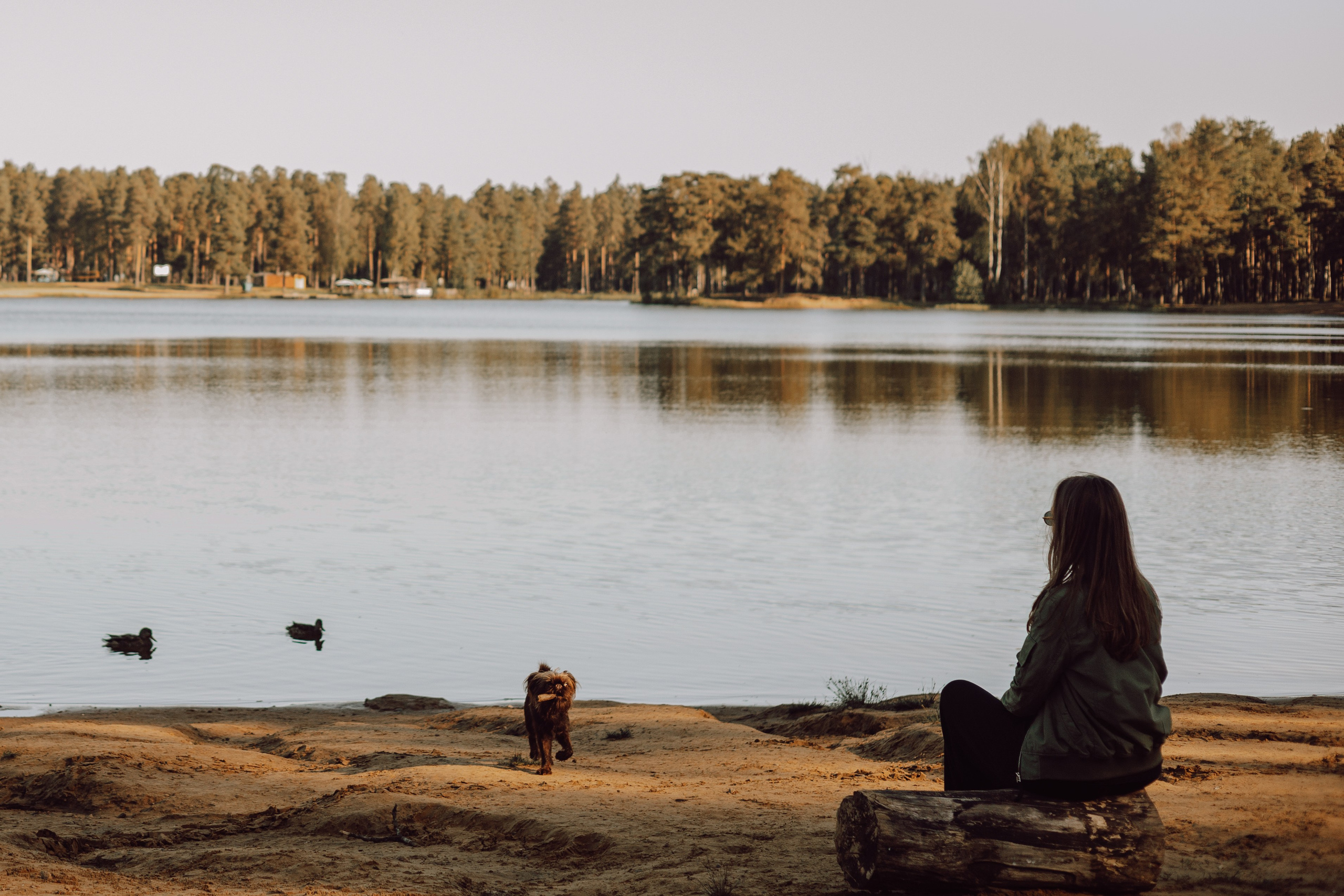 Катерина & Лунка. Фотограф — анималист •love-story•|Санкт-Петербург