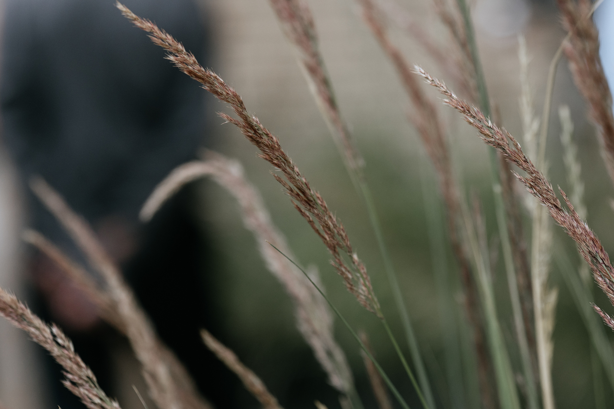 Окна Мира Sky-Frame