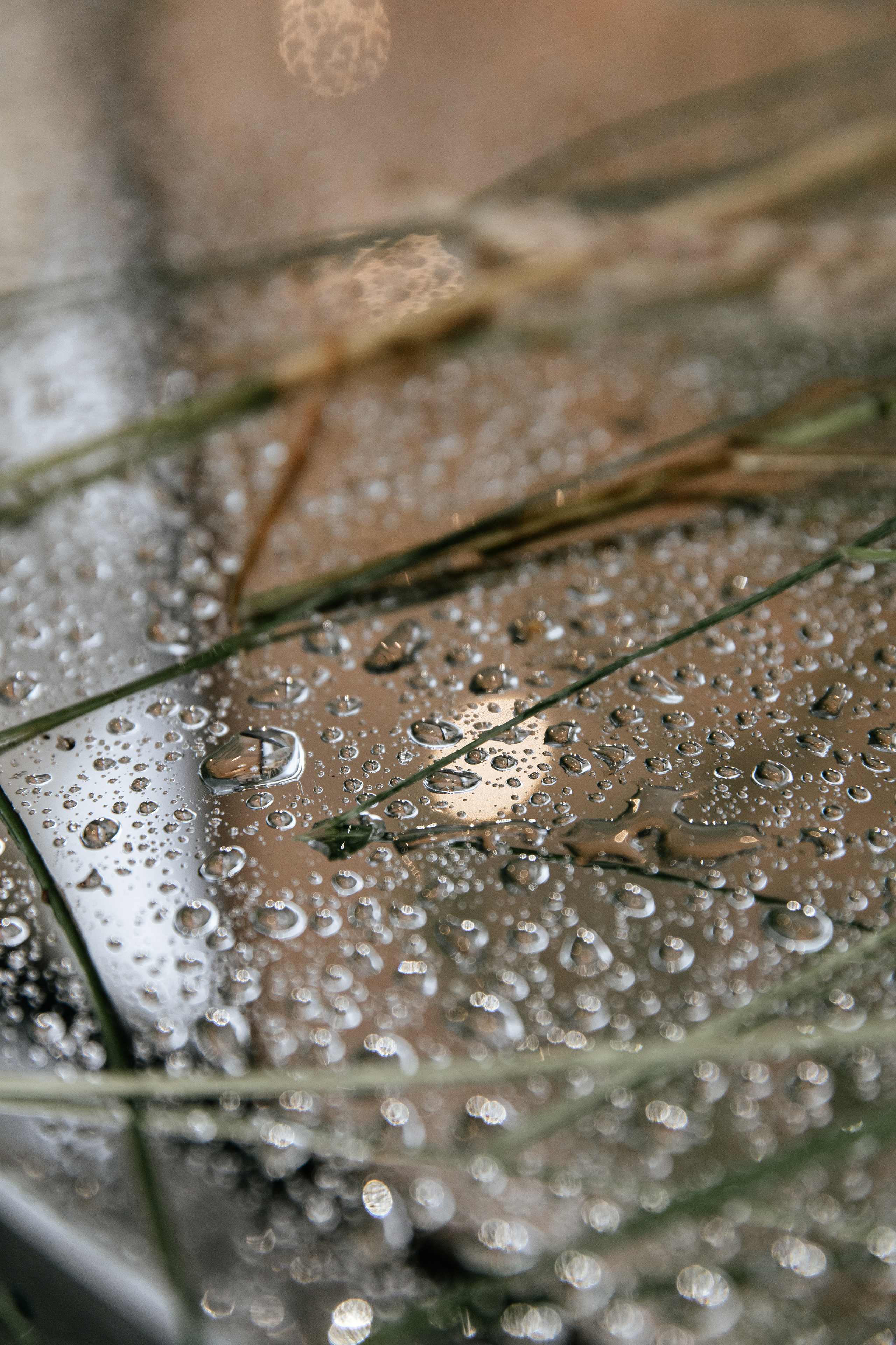 Окна Мира Sky-Frame