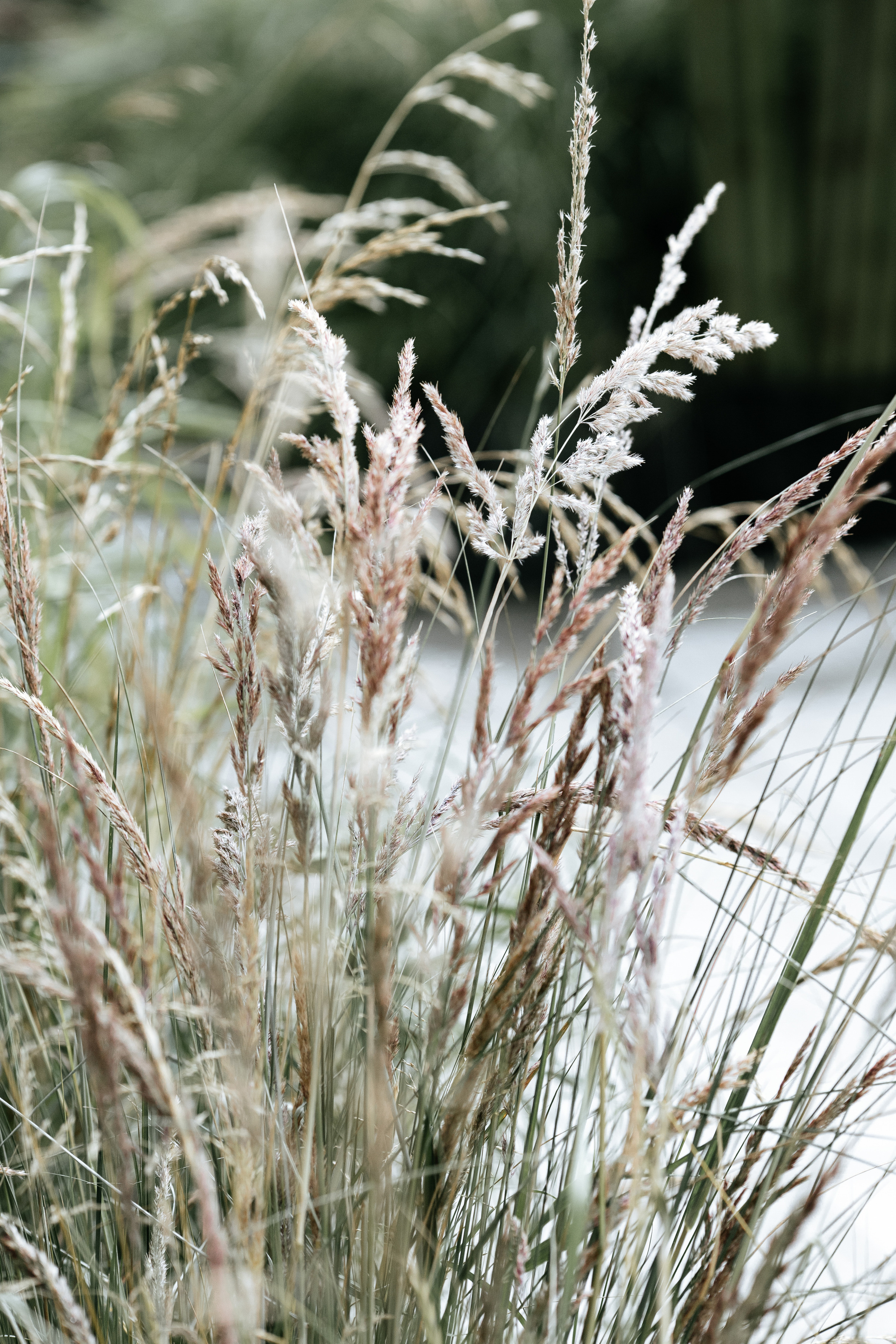 Окна Мира Sky-Frame