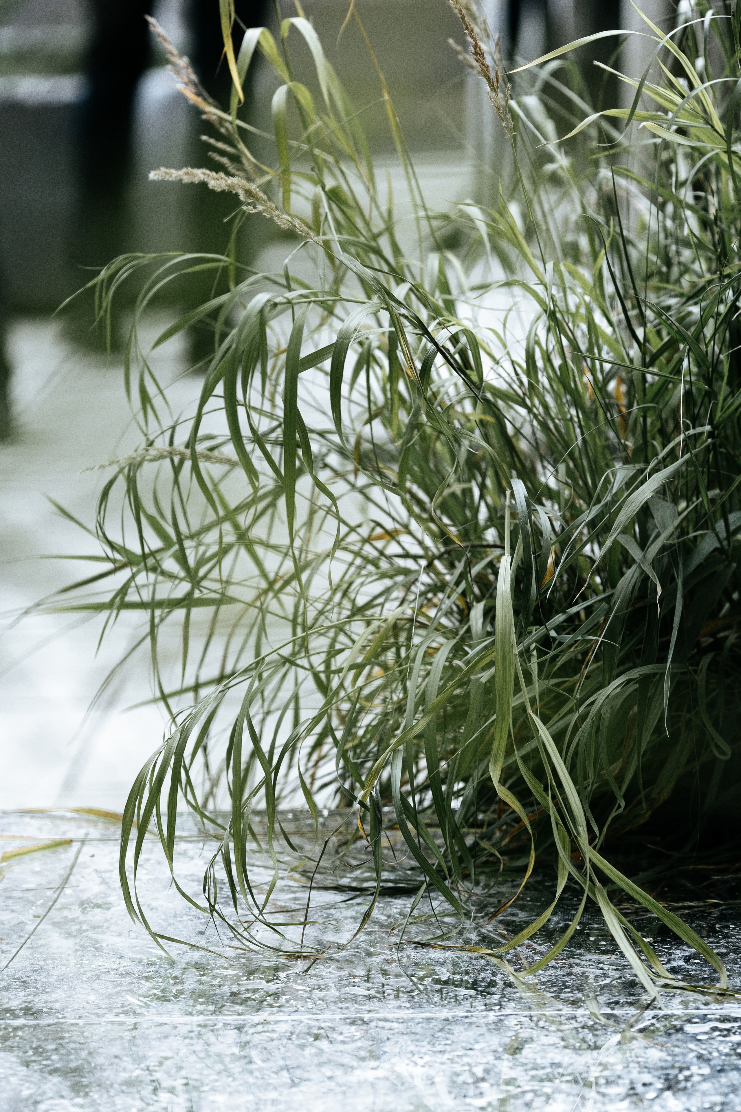 Окна Мира Sky-Frame