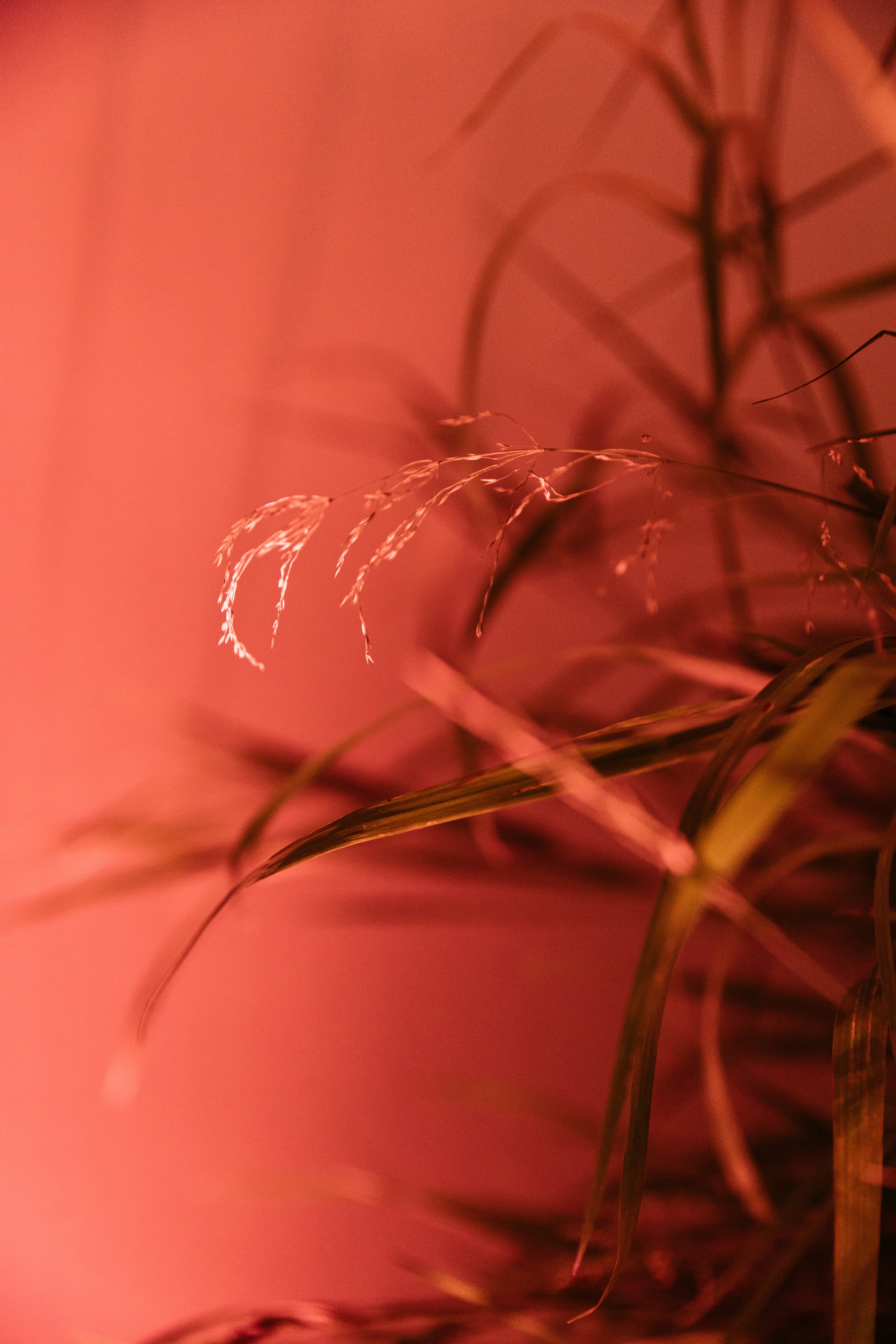 Окна Мира Sky-Frame