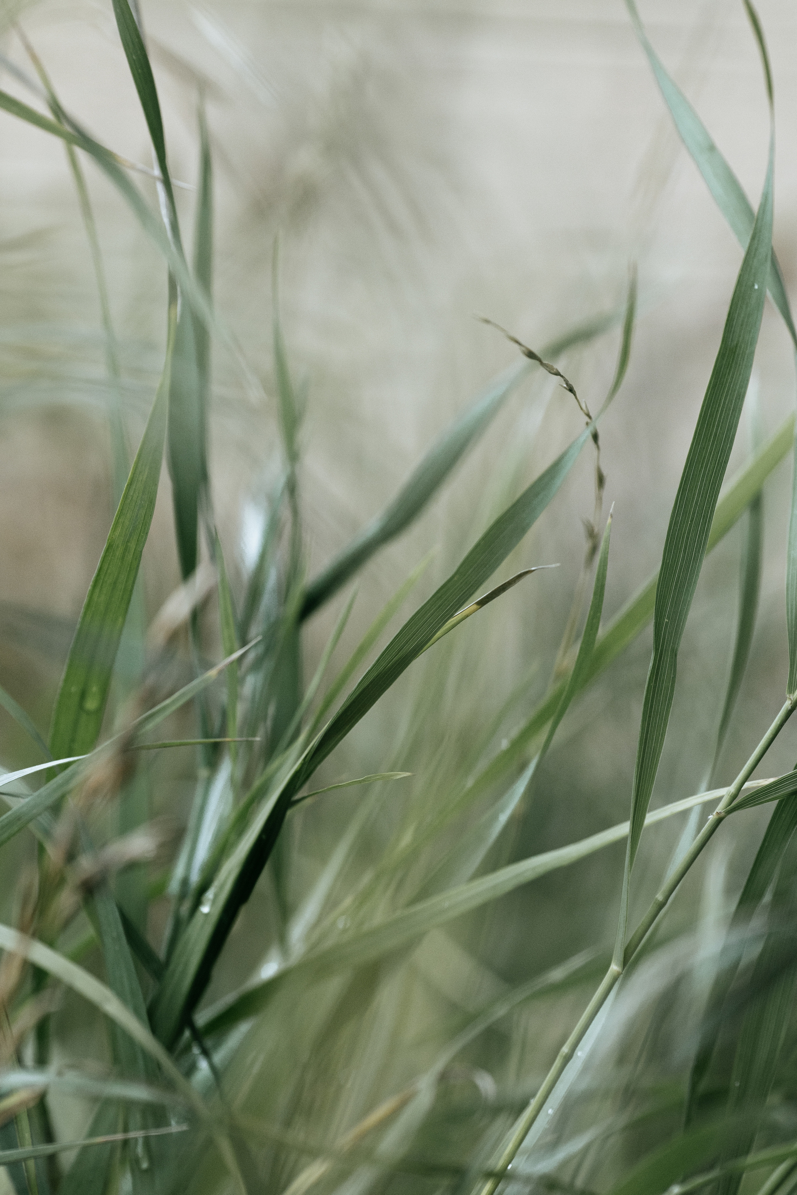 Окна Мира Sky-Frame