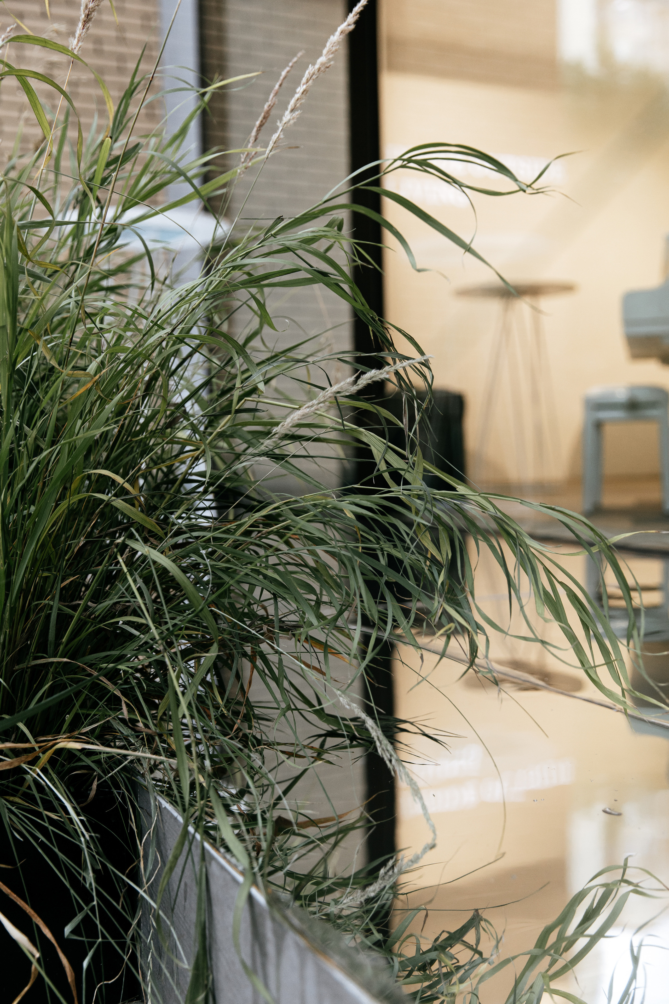 Окна Мира Sky-Frame