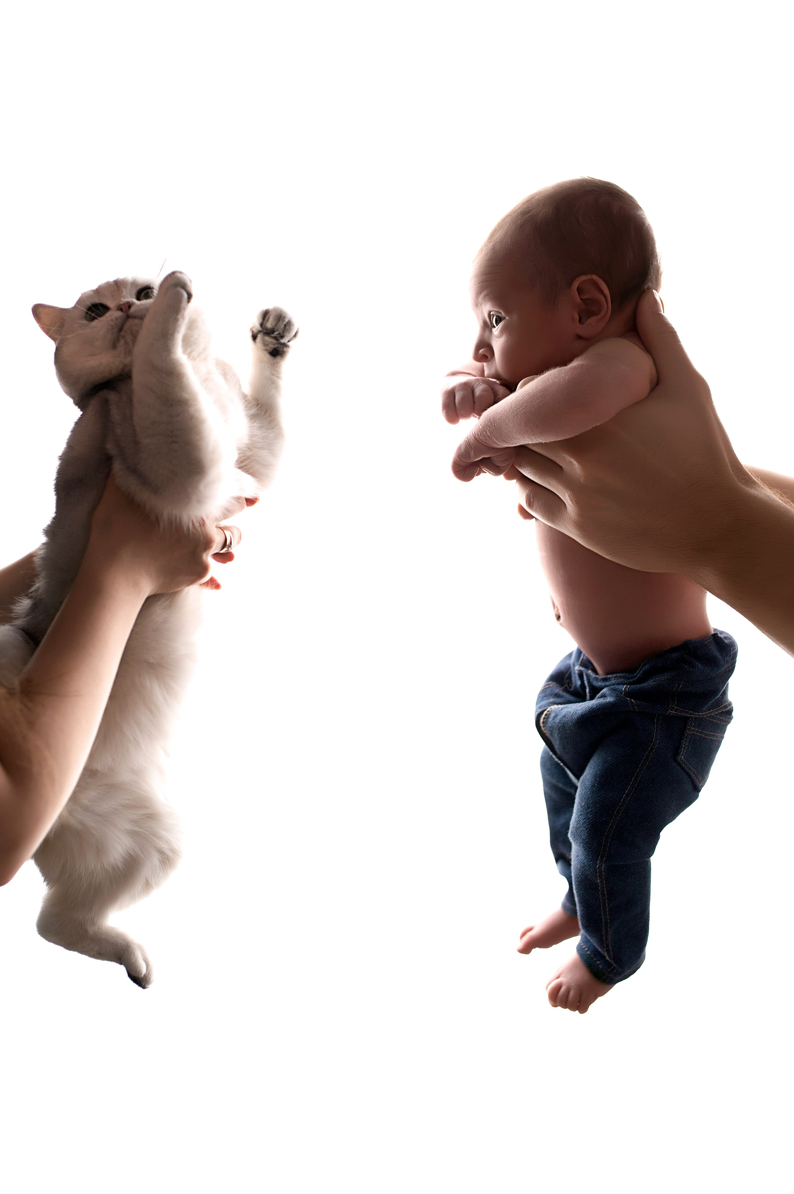 Новорождённые мальчики. Детский фотограф новорождённых в Минске Боровик Екатерина