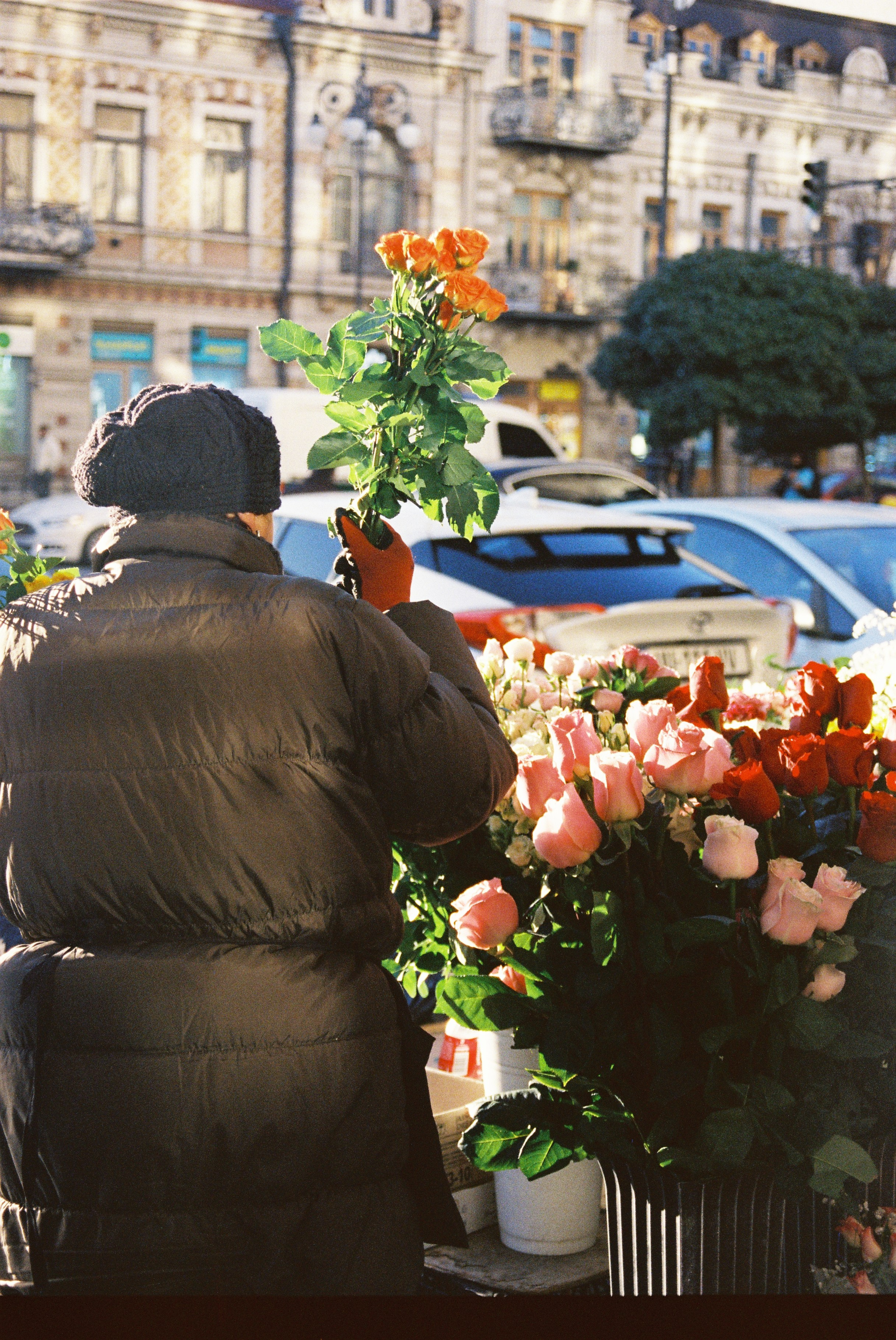 ON THE GO. Сocoobird || Атмосфера твоего бренда в снимках и видео