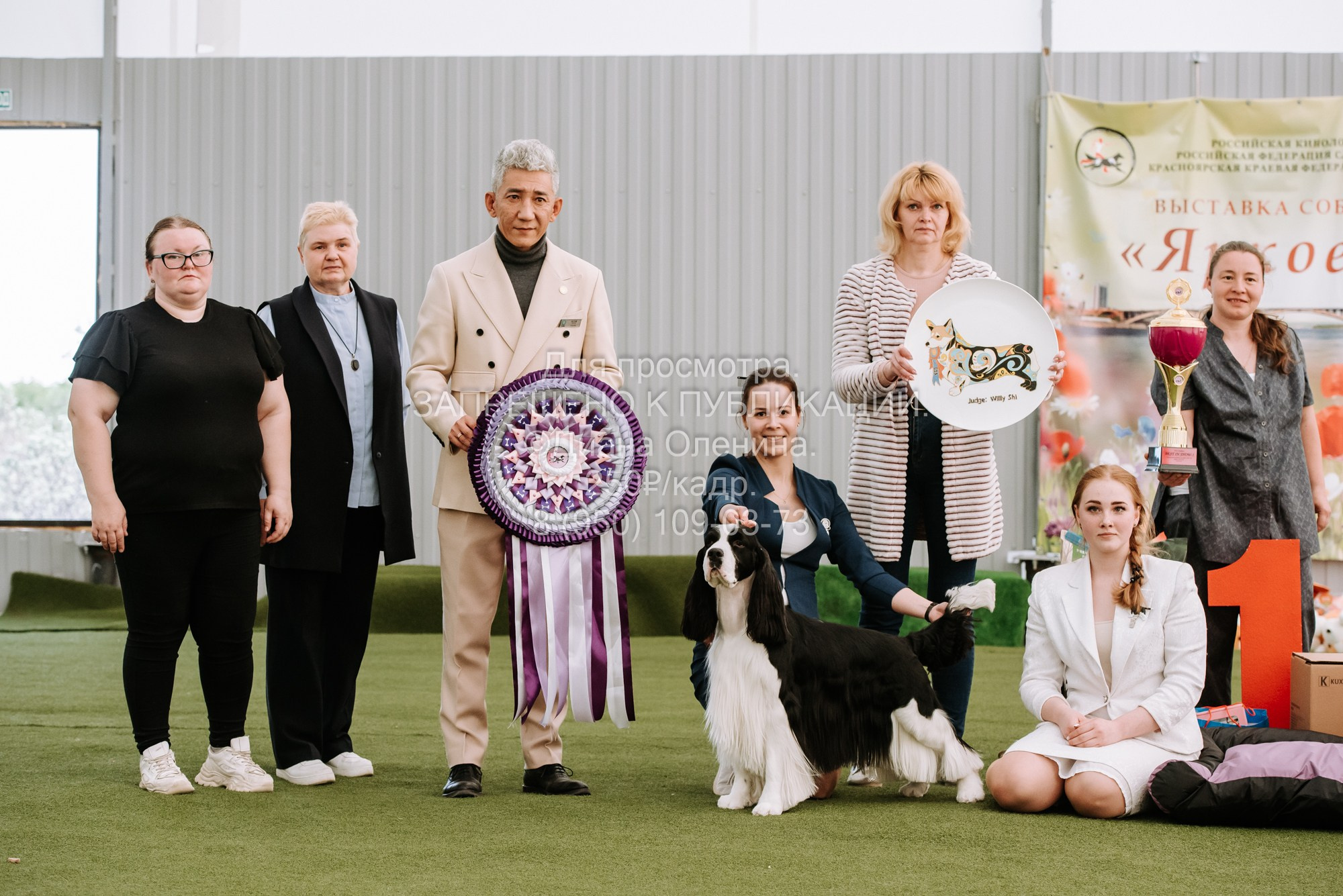 Выставка собак Красноярск 2.06. Фотограф Диана Оленина Красноярск / Братск