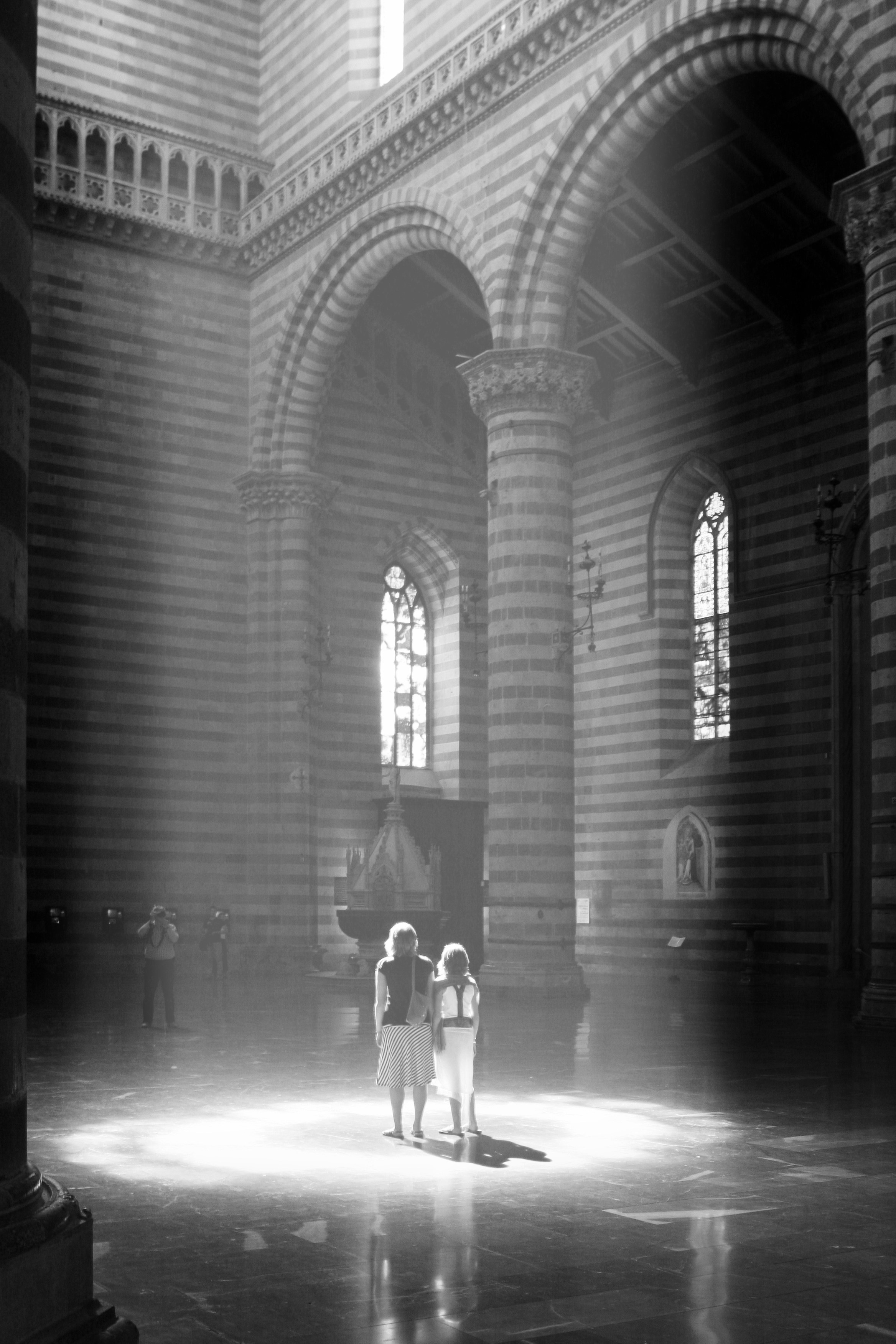 Жанр. Фотограф Лагутин Анатолий