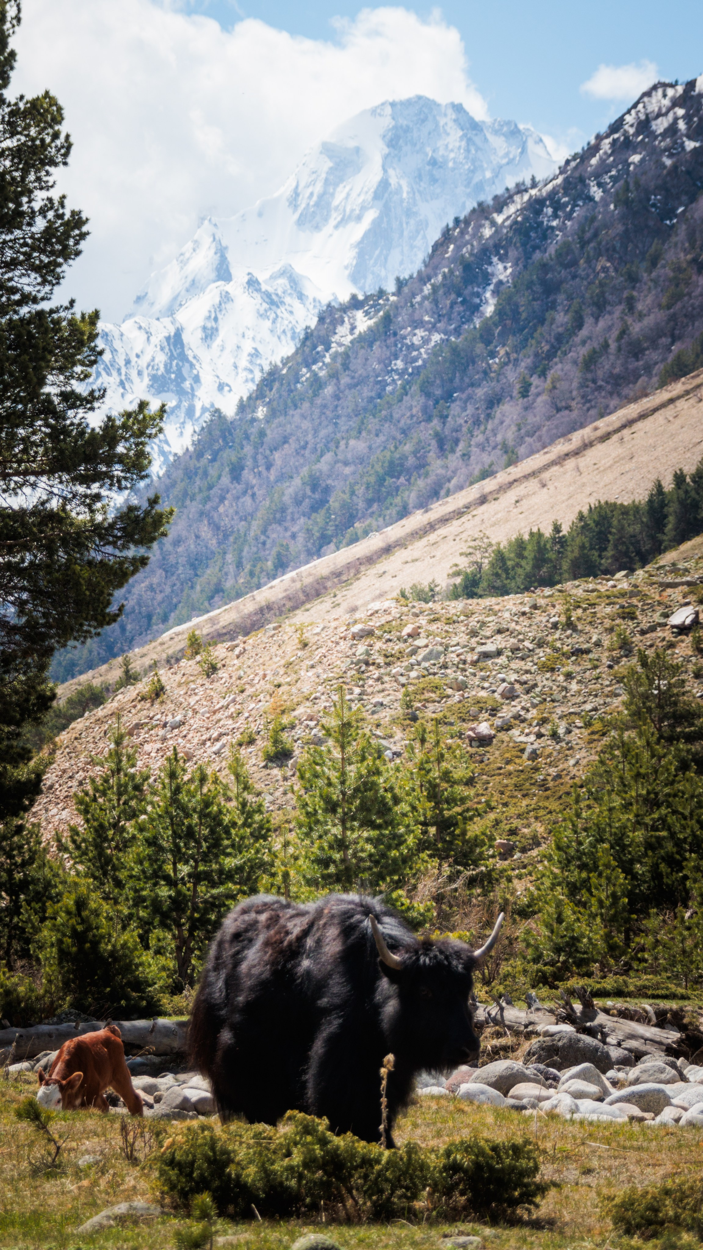 Трекинг / Ирик. Фотограф на трекинг и восхождение Эльбрус, Приэльбрусье. Елизавета Бобок