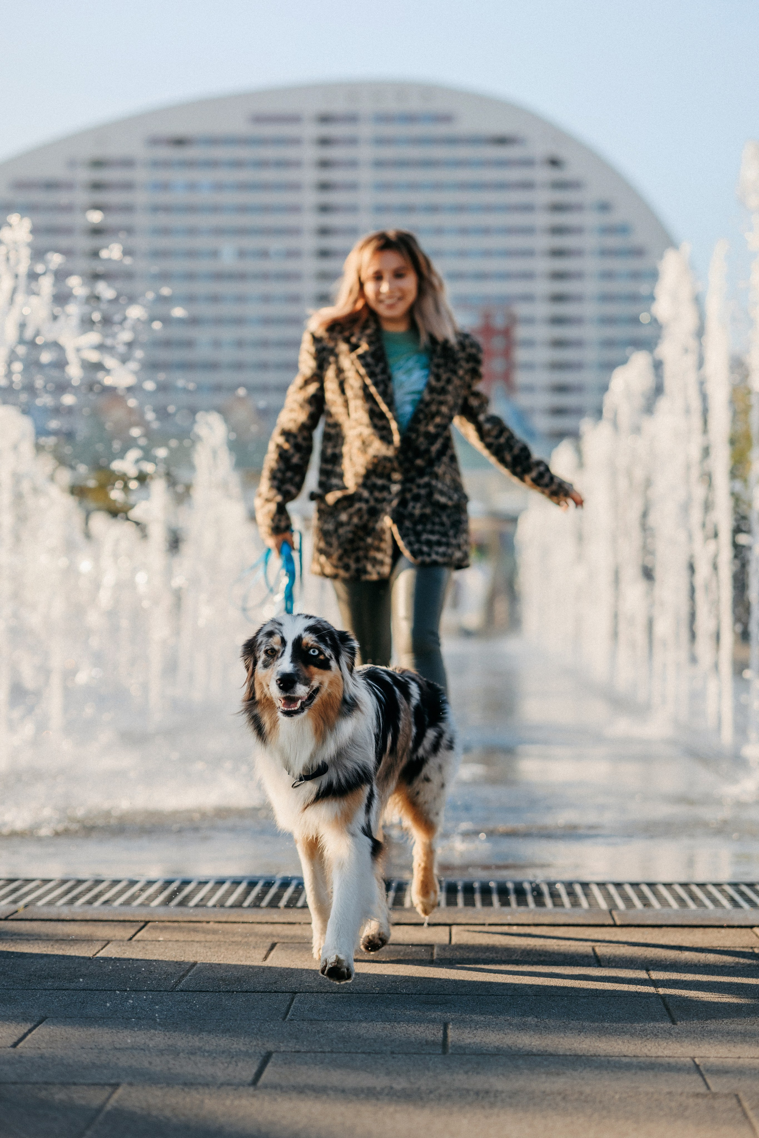 Аня, Чарли и Ева. Фотограф-анималист Елена Радченко, Москва