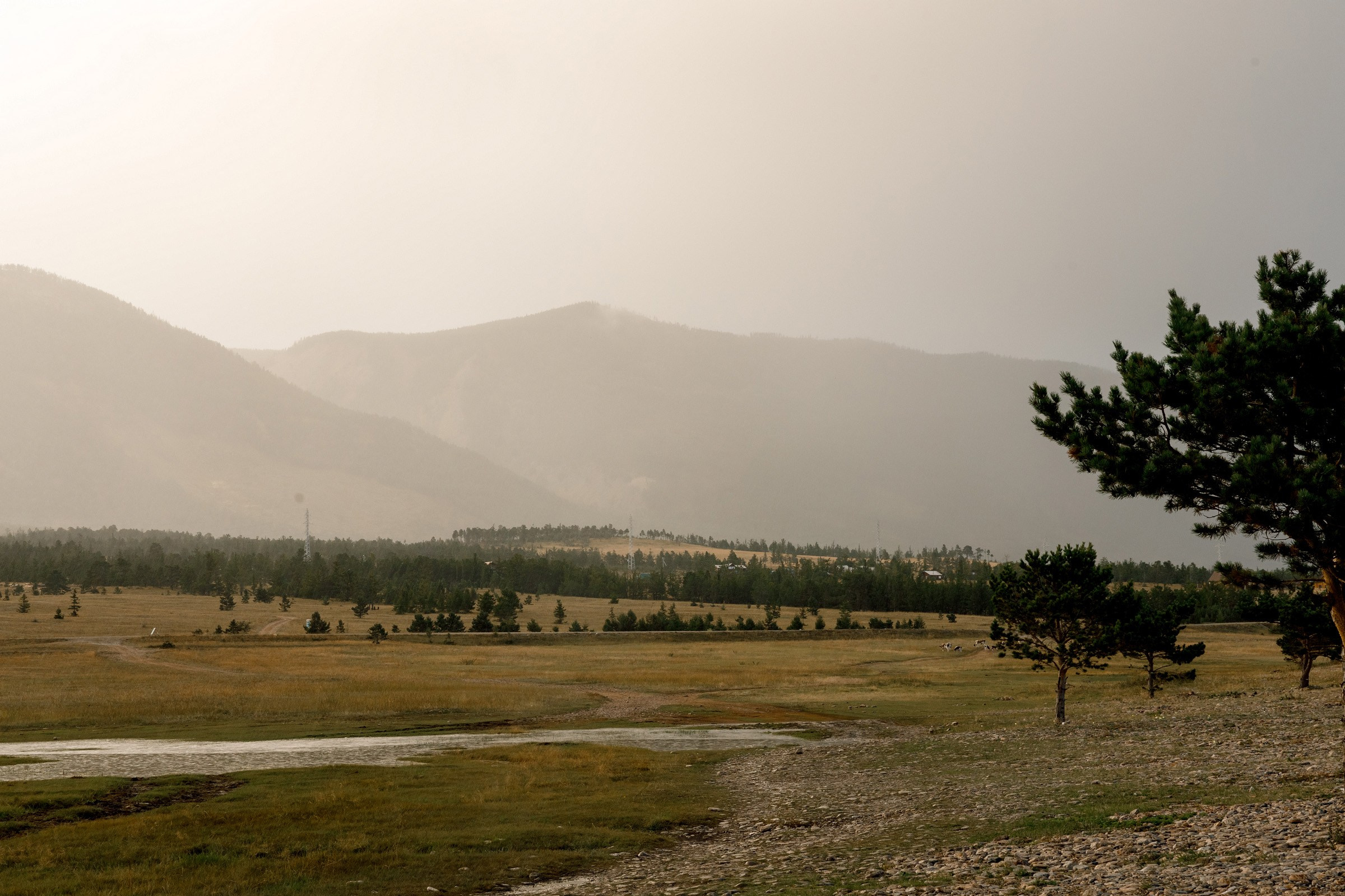 Полина и Женя. Лес, кожанки и 2 дня кайфа. Свадебный фотограф в Иркутске Сапаров Александр