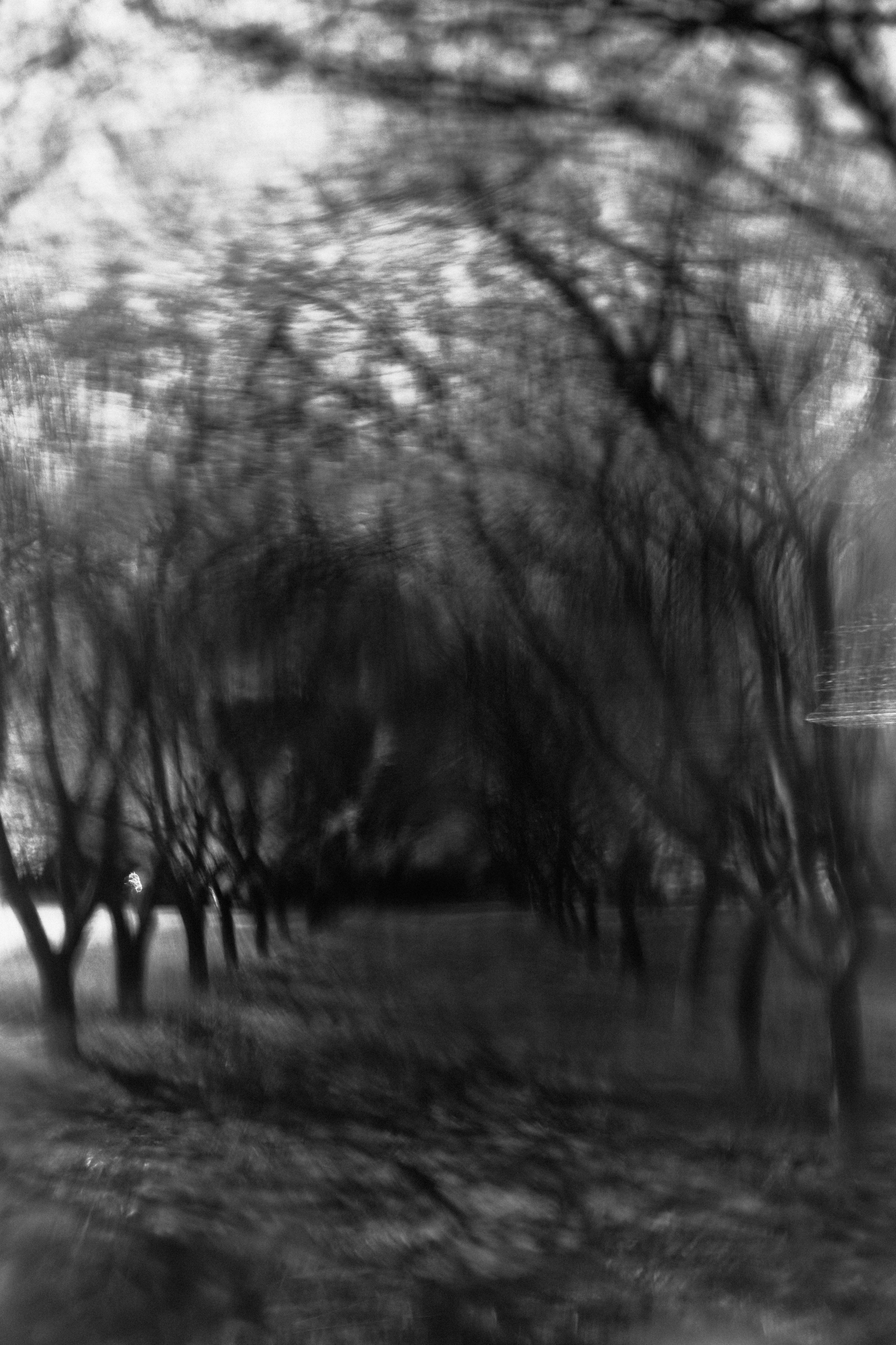 BAON x Кудыкина Гора. Фотограф Сурков Никита