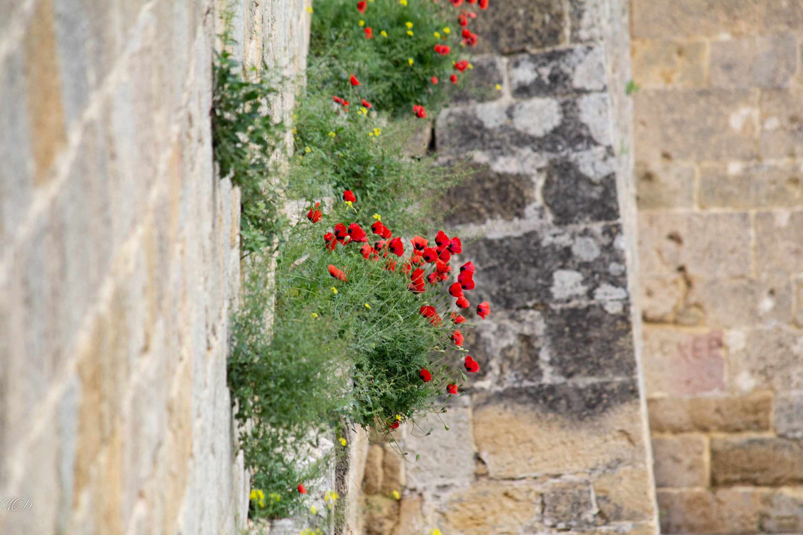 ДАГЕСТАН. Михаил Дёгтев - фотограф