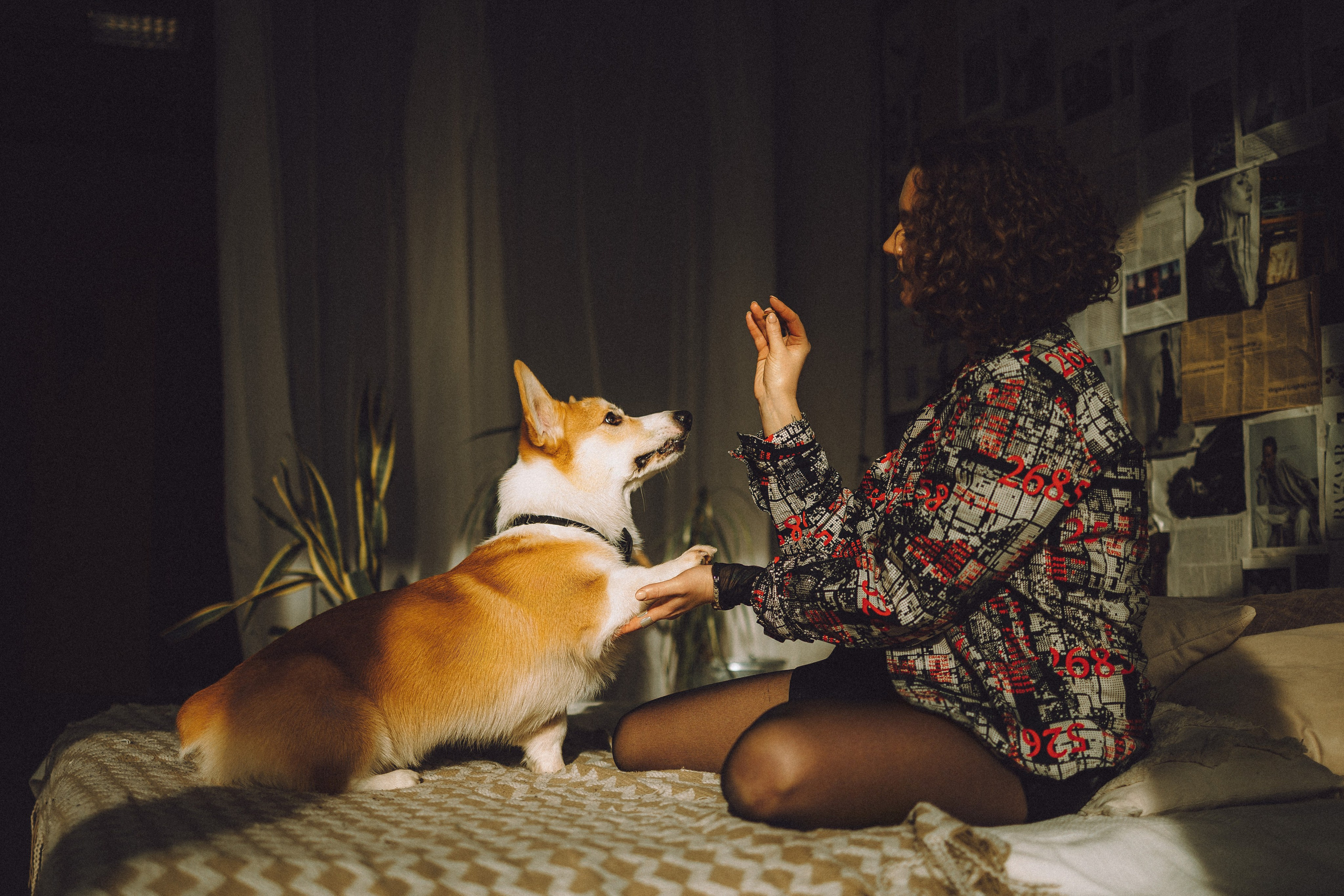 Наталья, Евгений и Мерлин