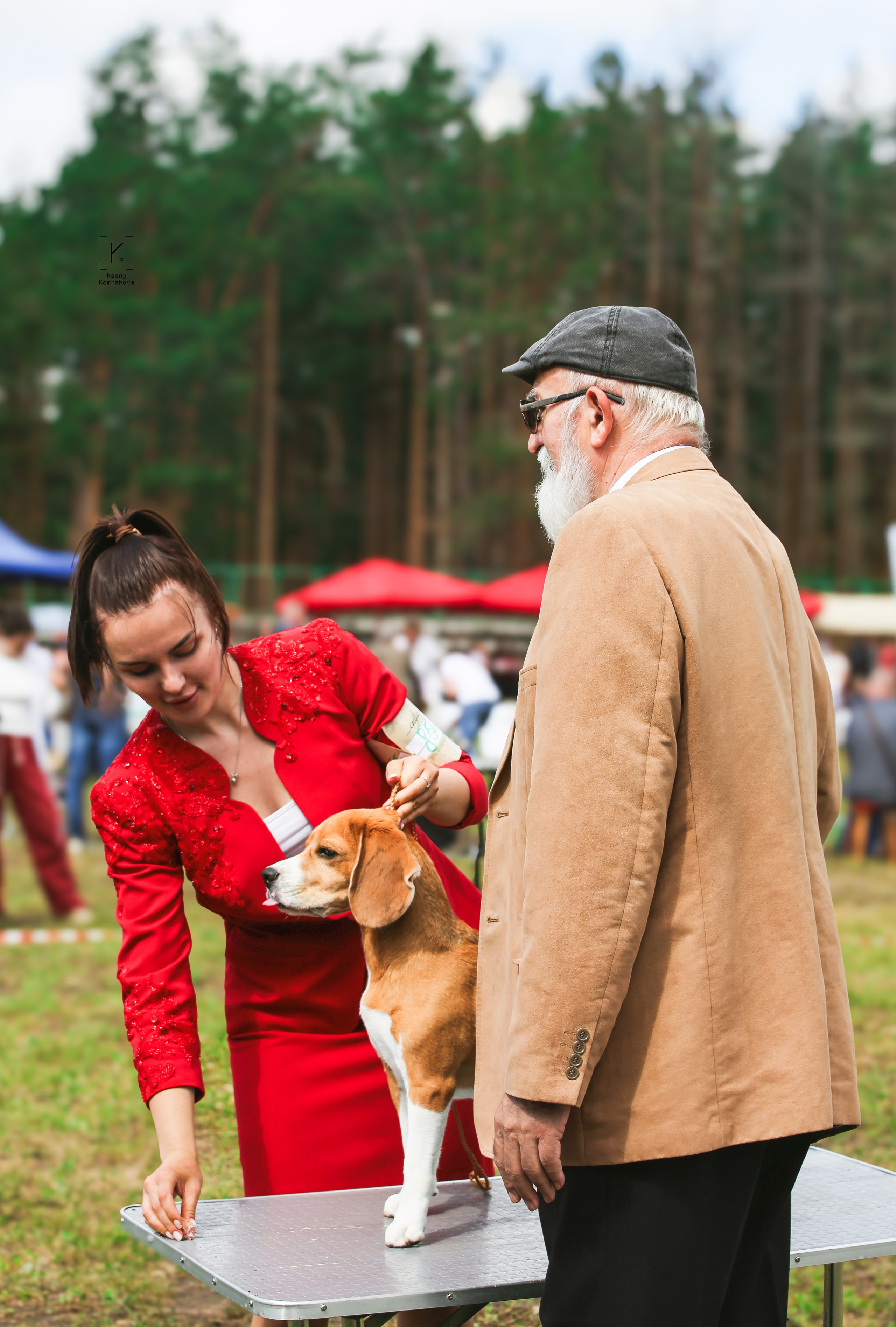 Съемка собак. Анималистика. Репортаж. Индивидуальная съемка