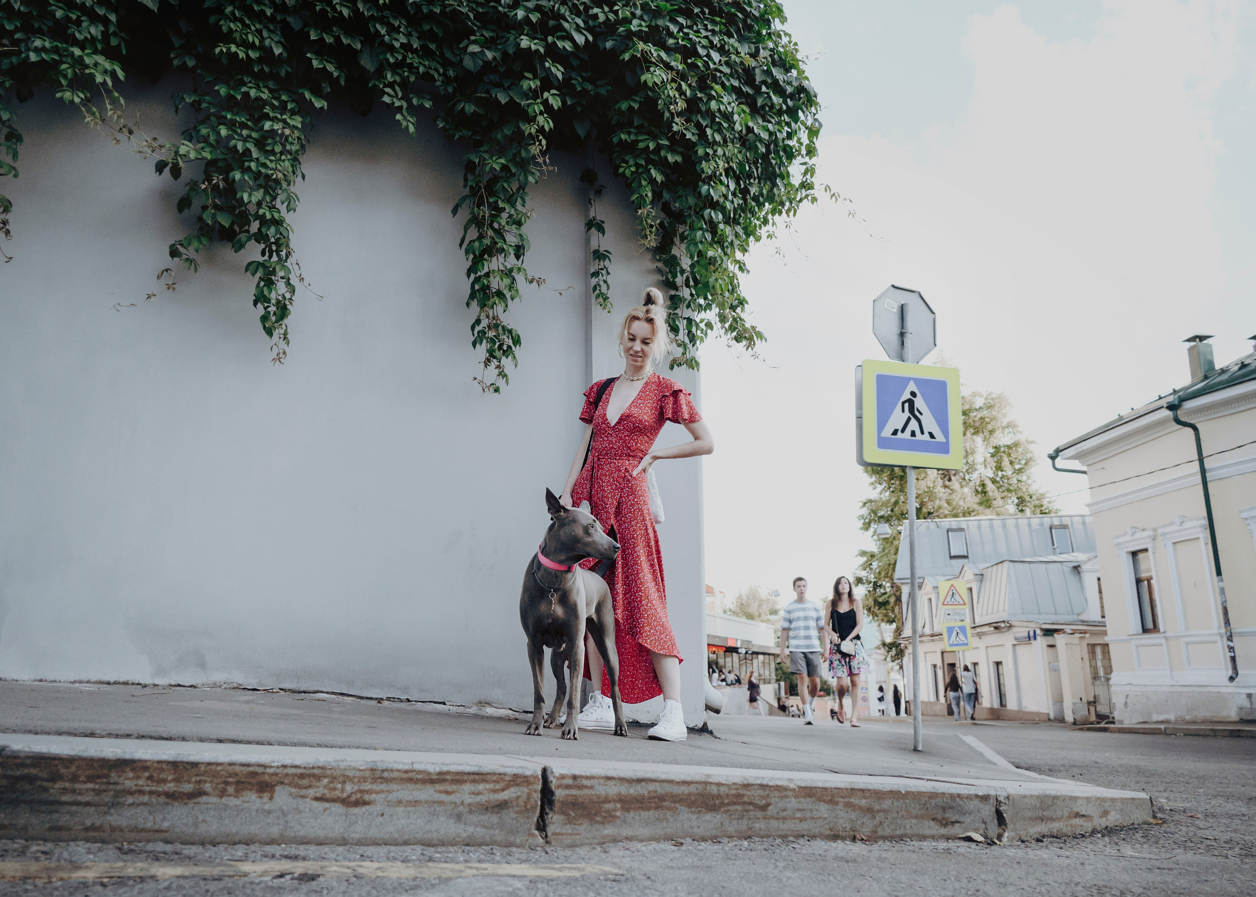 Шарма. Фотограф- анималист Александра Матвеева