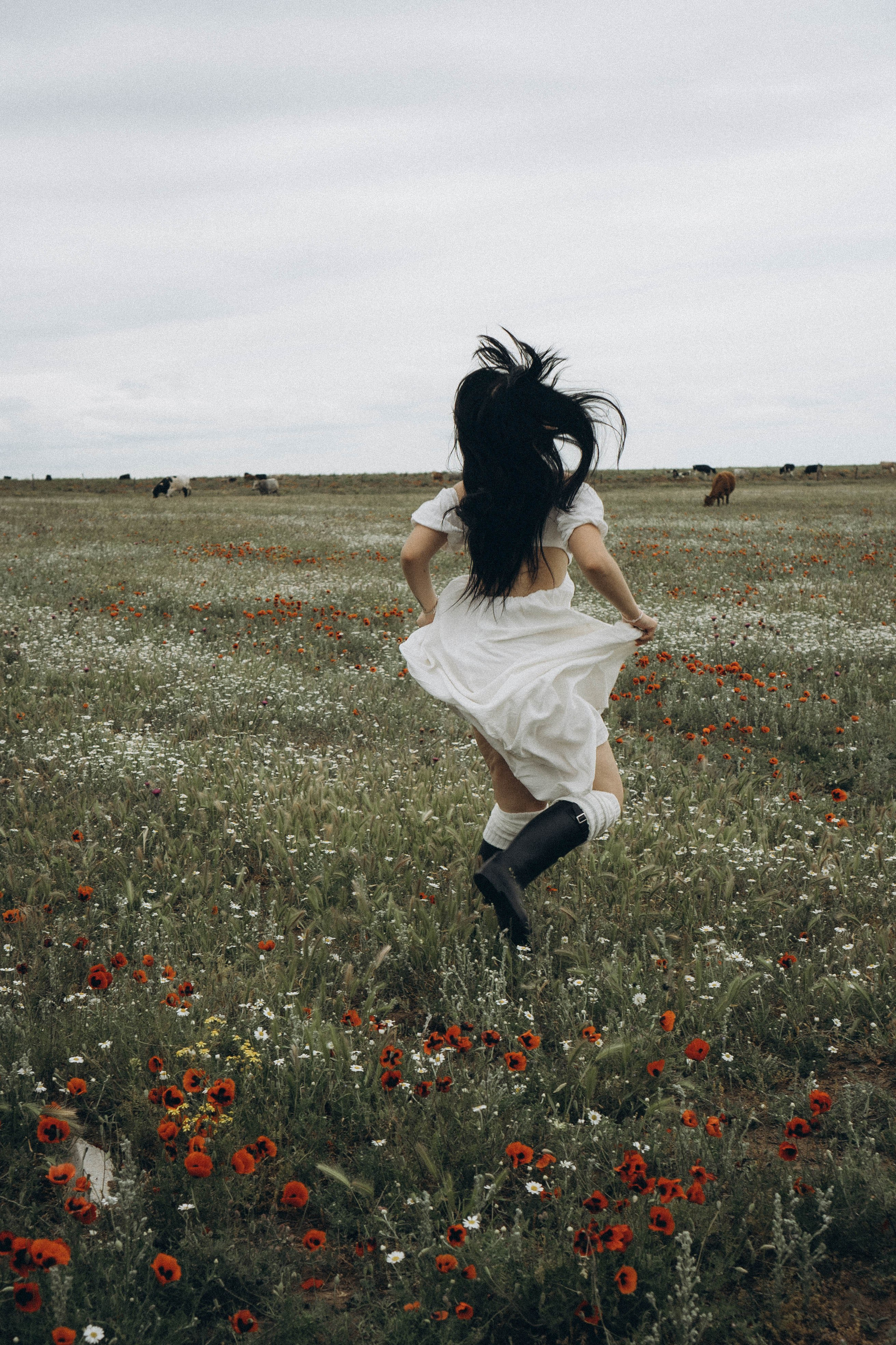 Маковое поле. Профессиональный фотограф, Санкт-Петербург — Виктория Богомолова