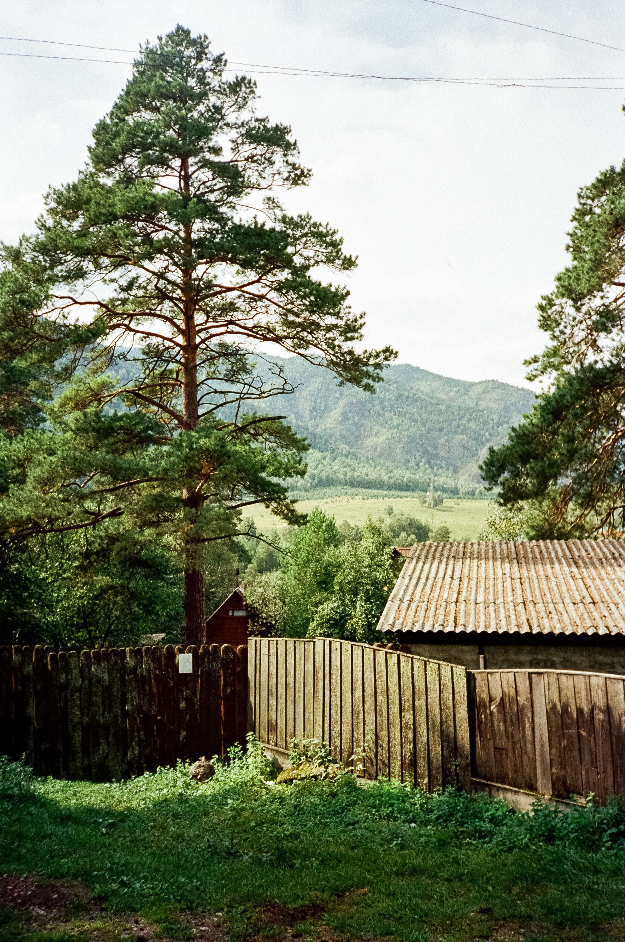 Остров Патмос и Сила Алтая. Фотограф-документалист Мария Осокина