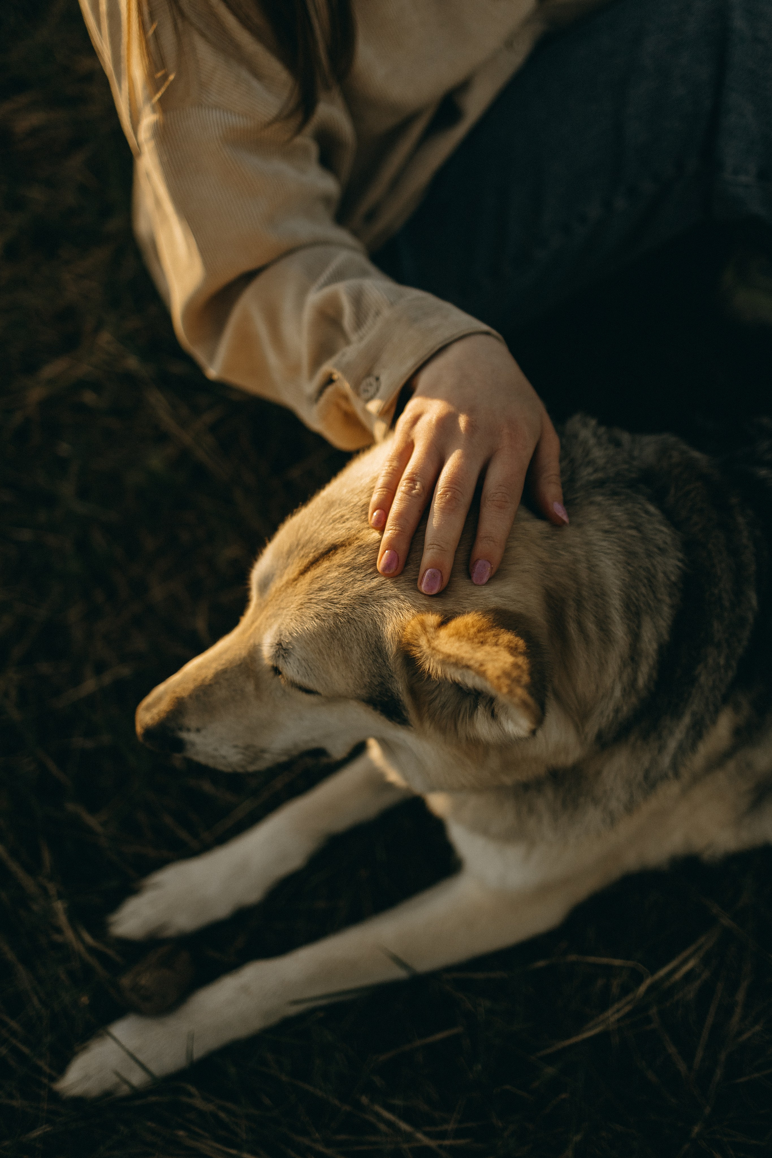 Саша и Зельда. Фотограф — Анималист | Санкт-Петербург
