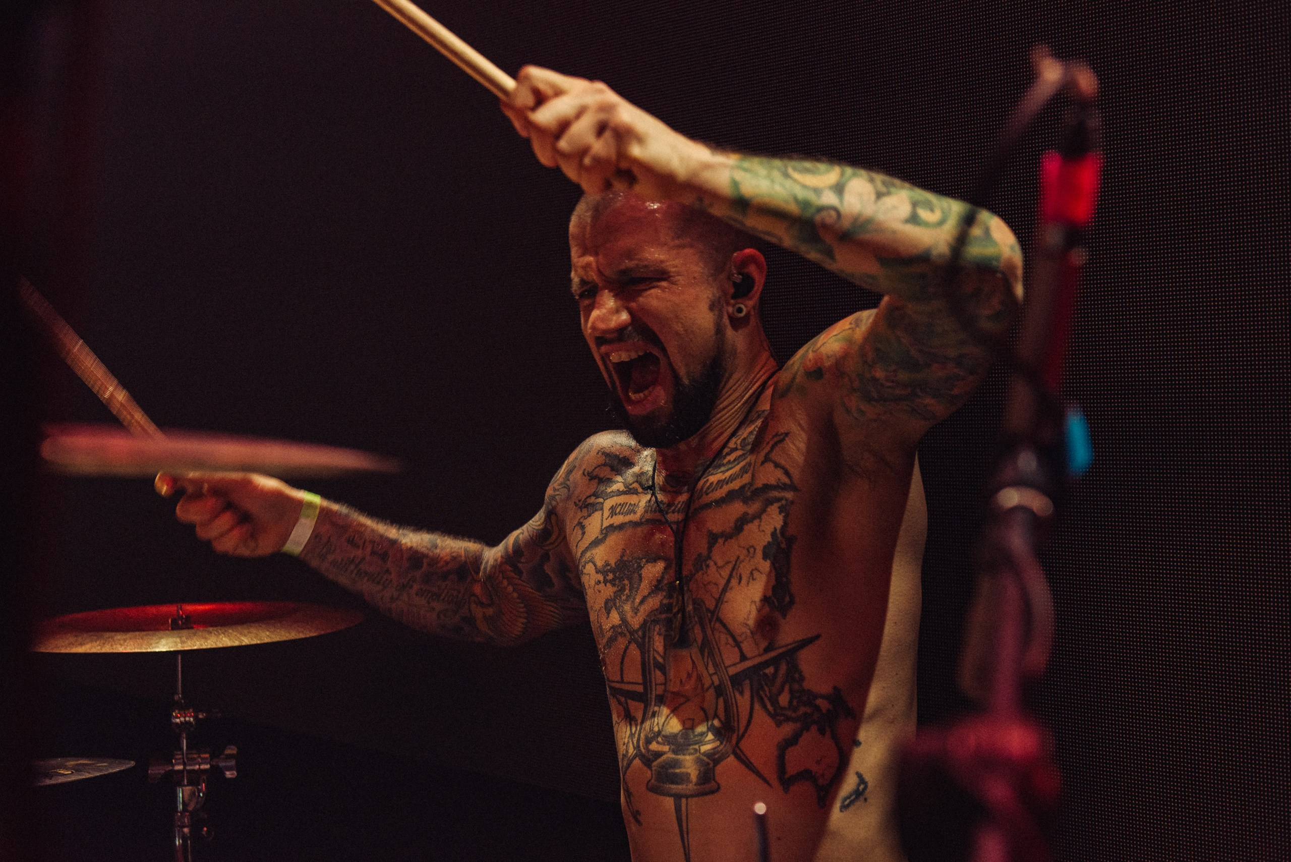 Концертное портфолио. Портфолио