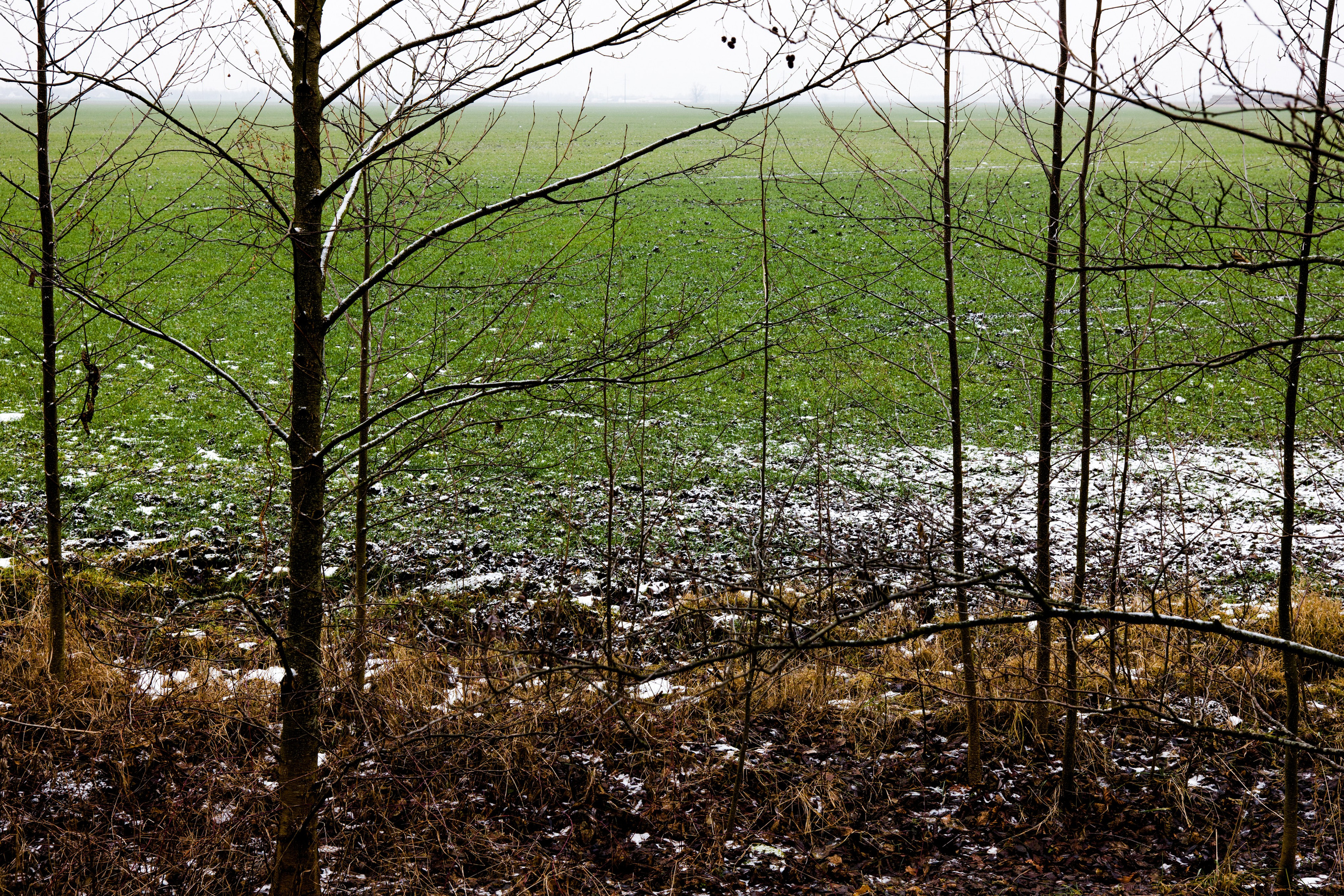 Singles 2. Alyona Kochetkova | Photographer and photography educator