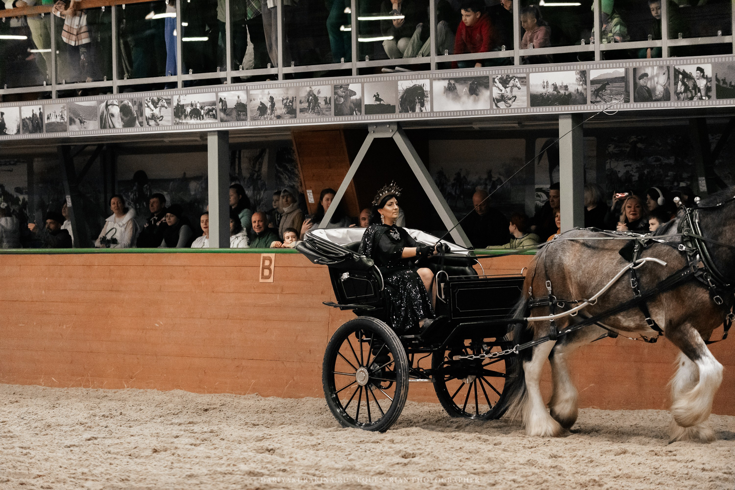 Конное представление «Дыхание Звёзд». Конный фотограф Куракина Дарья • Фотосессии с лошадьми