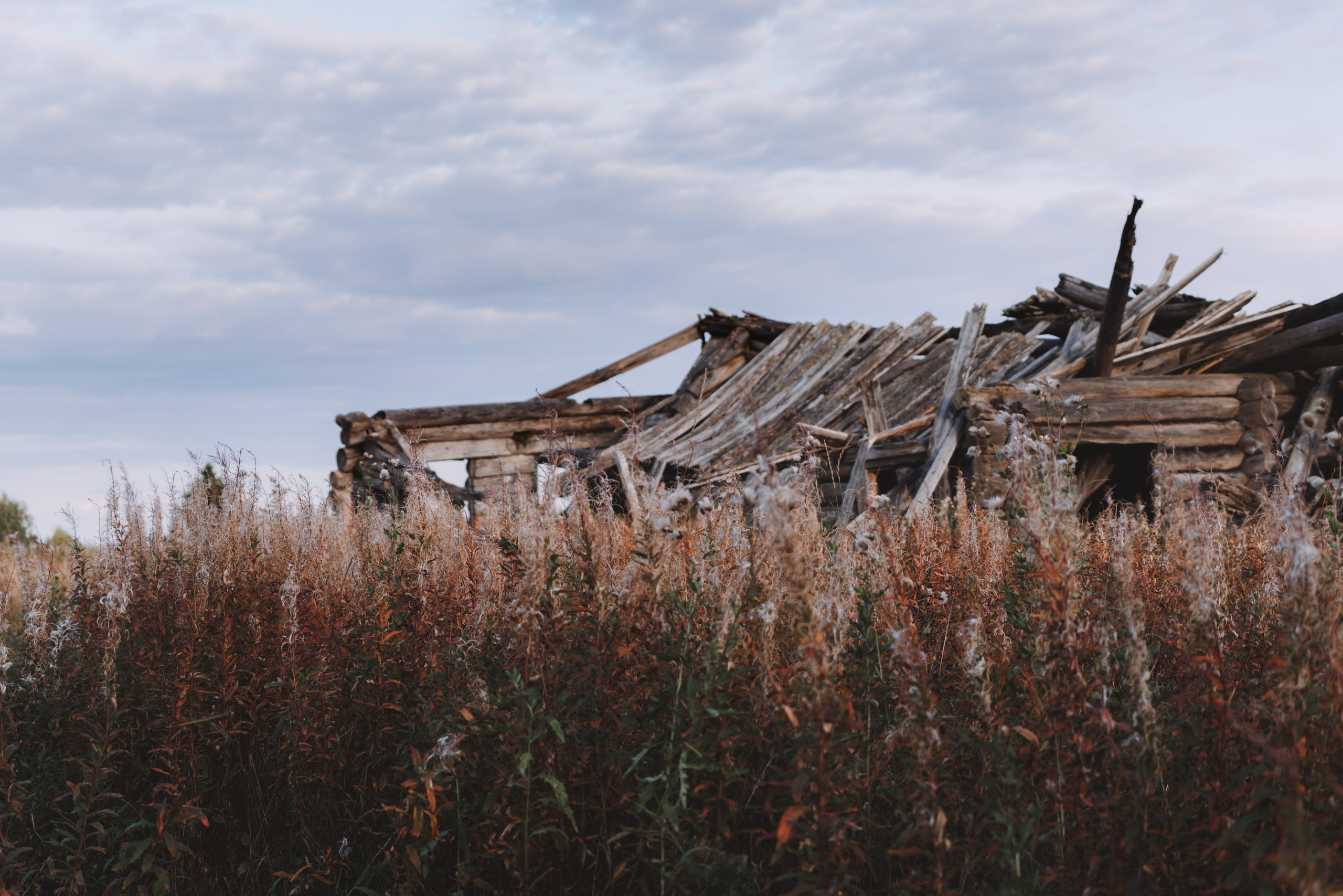 Пейзажи. Фотограф в Москве Алексей Липилин