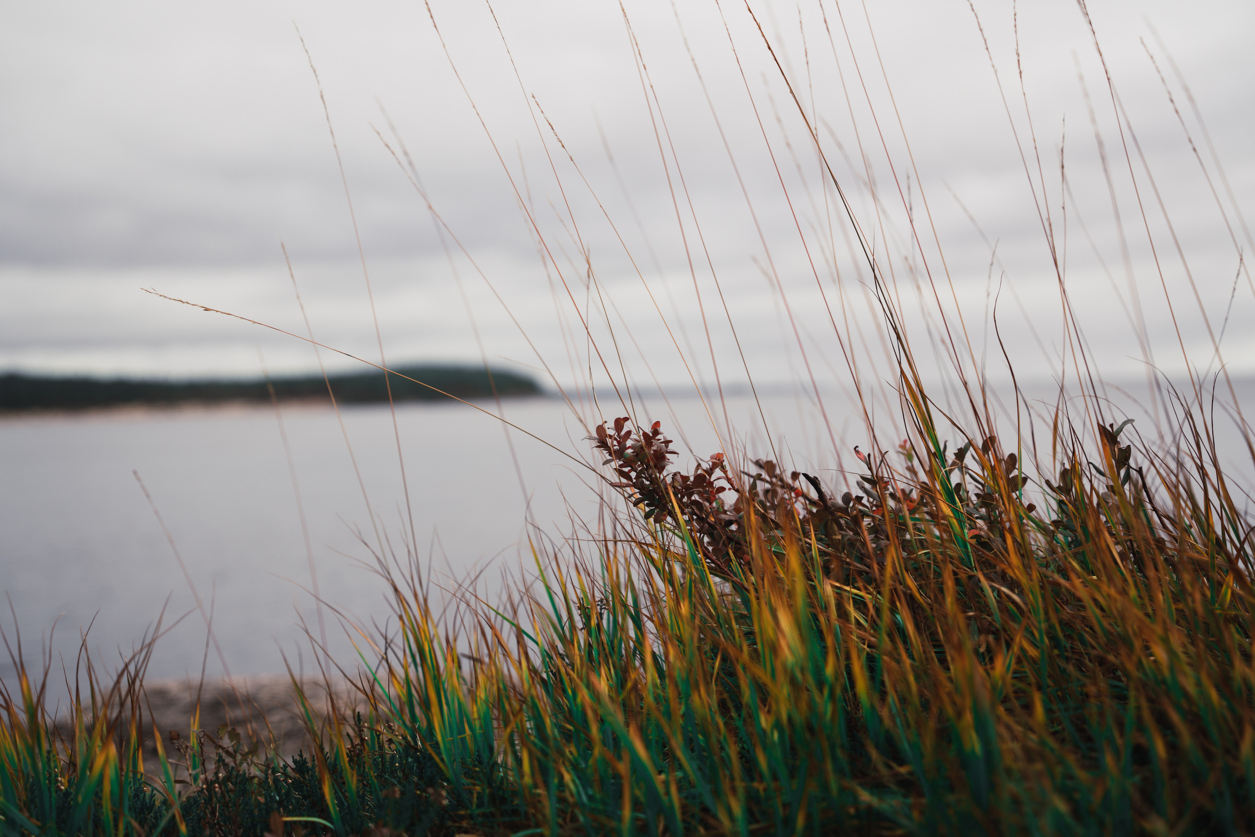 Пейзажи. Фотограф в Москве Алексей Липилин