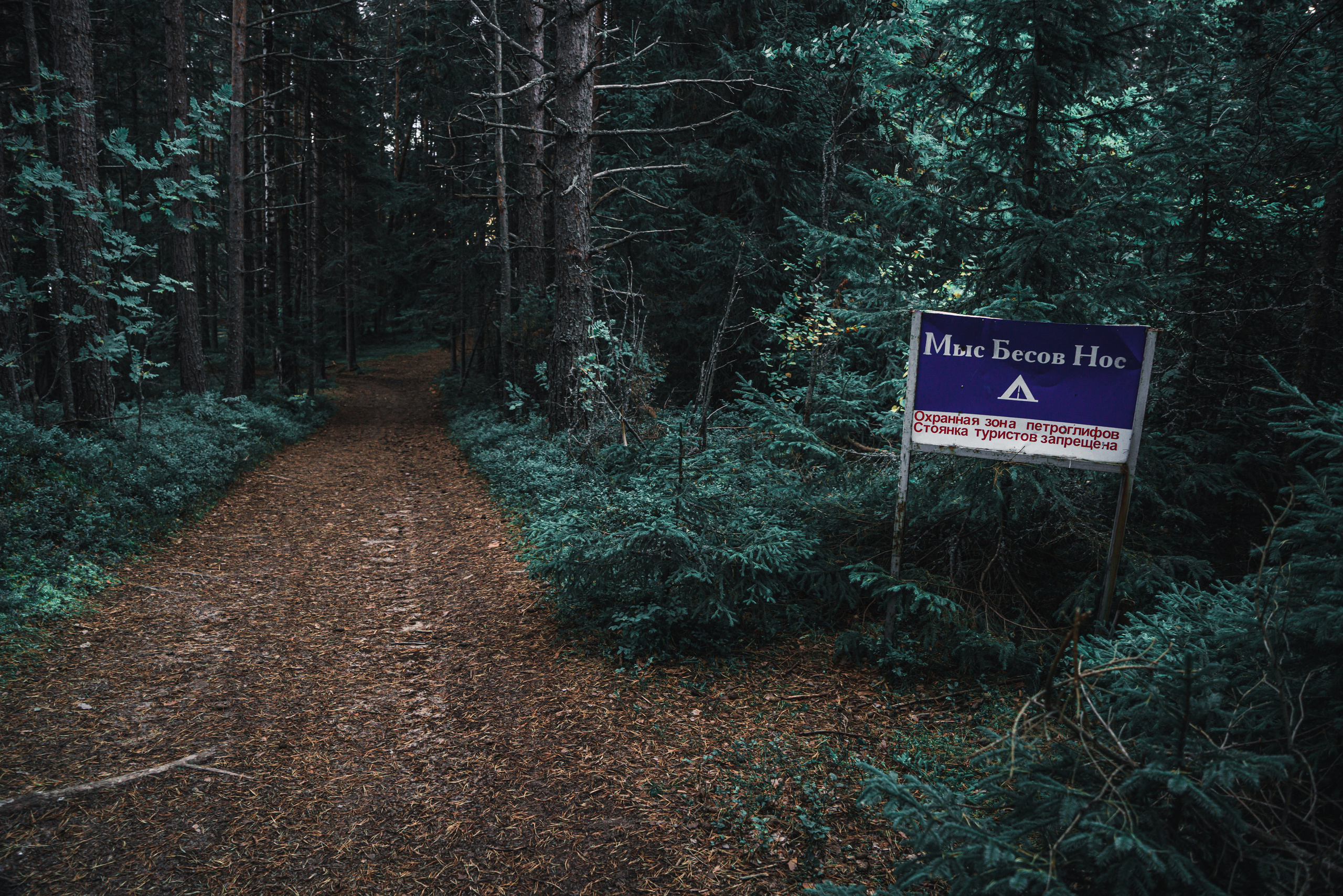 Пейзажи. Фотограф в Москве Алексей Липилин