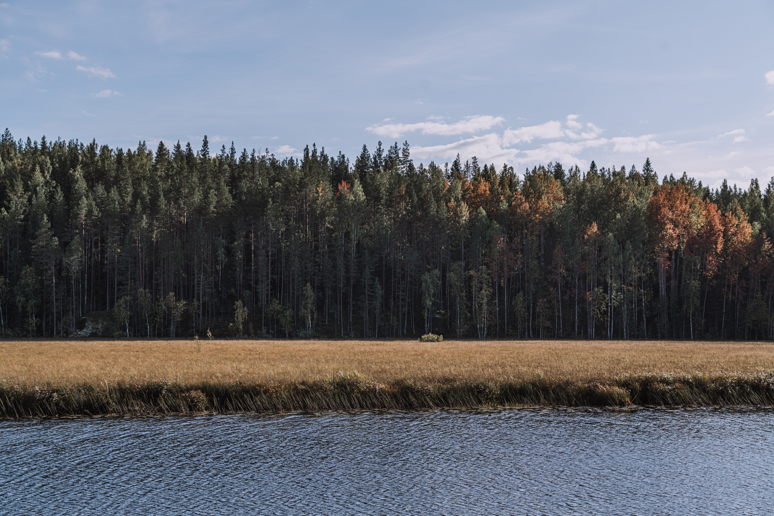 Пейзажи. Фотограф в Москве Алексей Липилин
