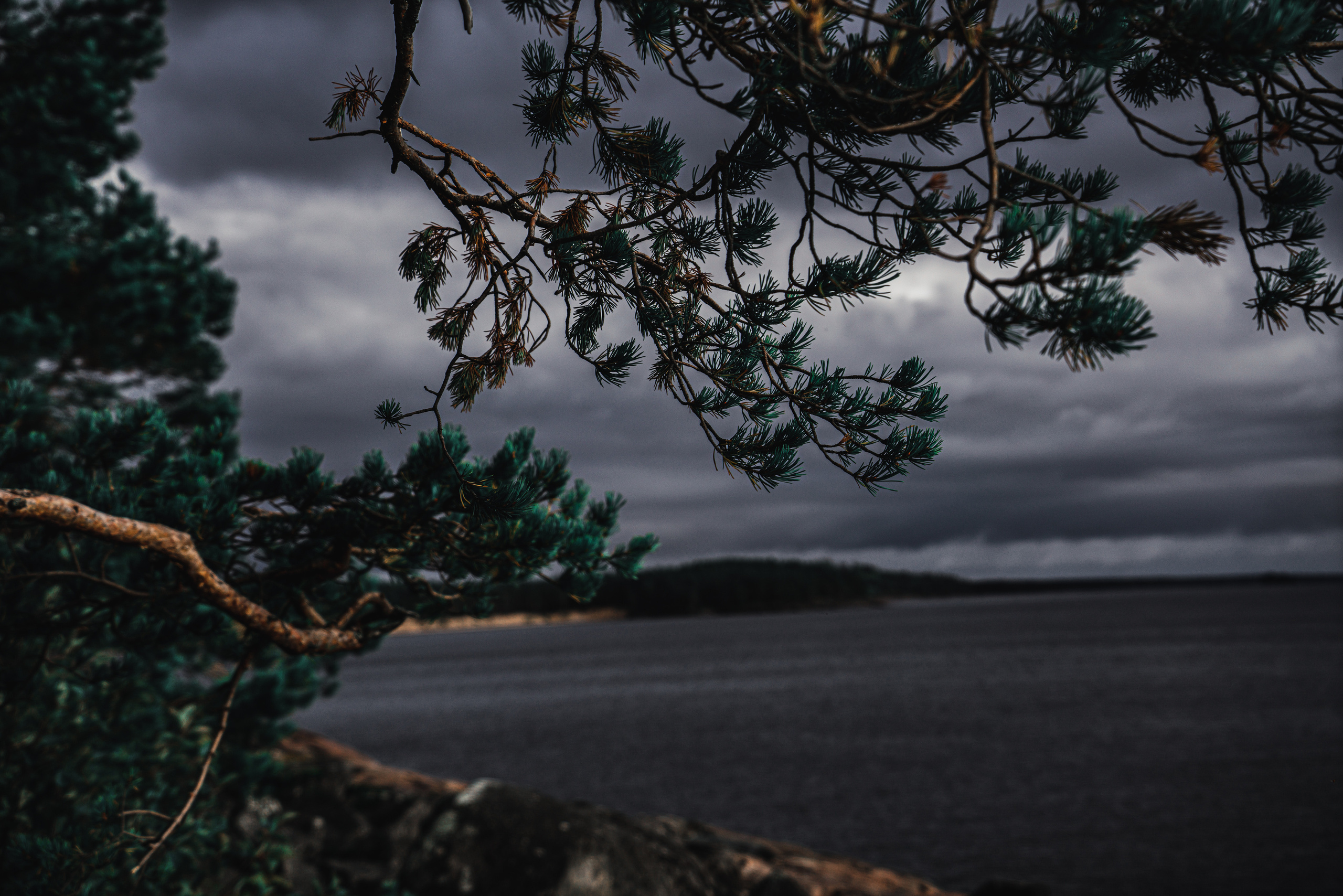 Пейзажи. Фотограф в Москве Алексей Липилин