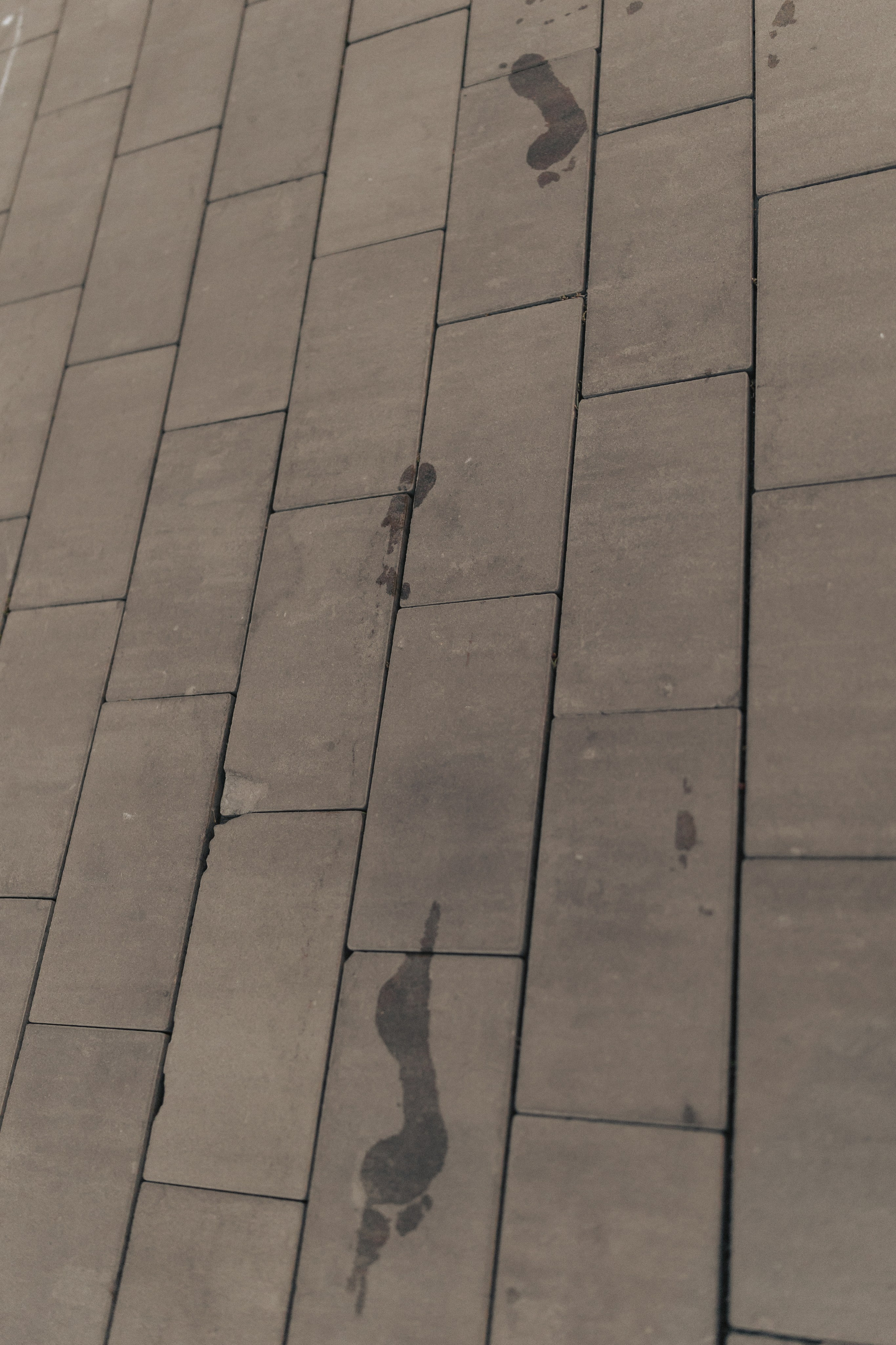 Коля и Алина. Ланемец Юлия — фотограф Волгоград/Волжский