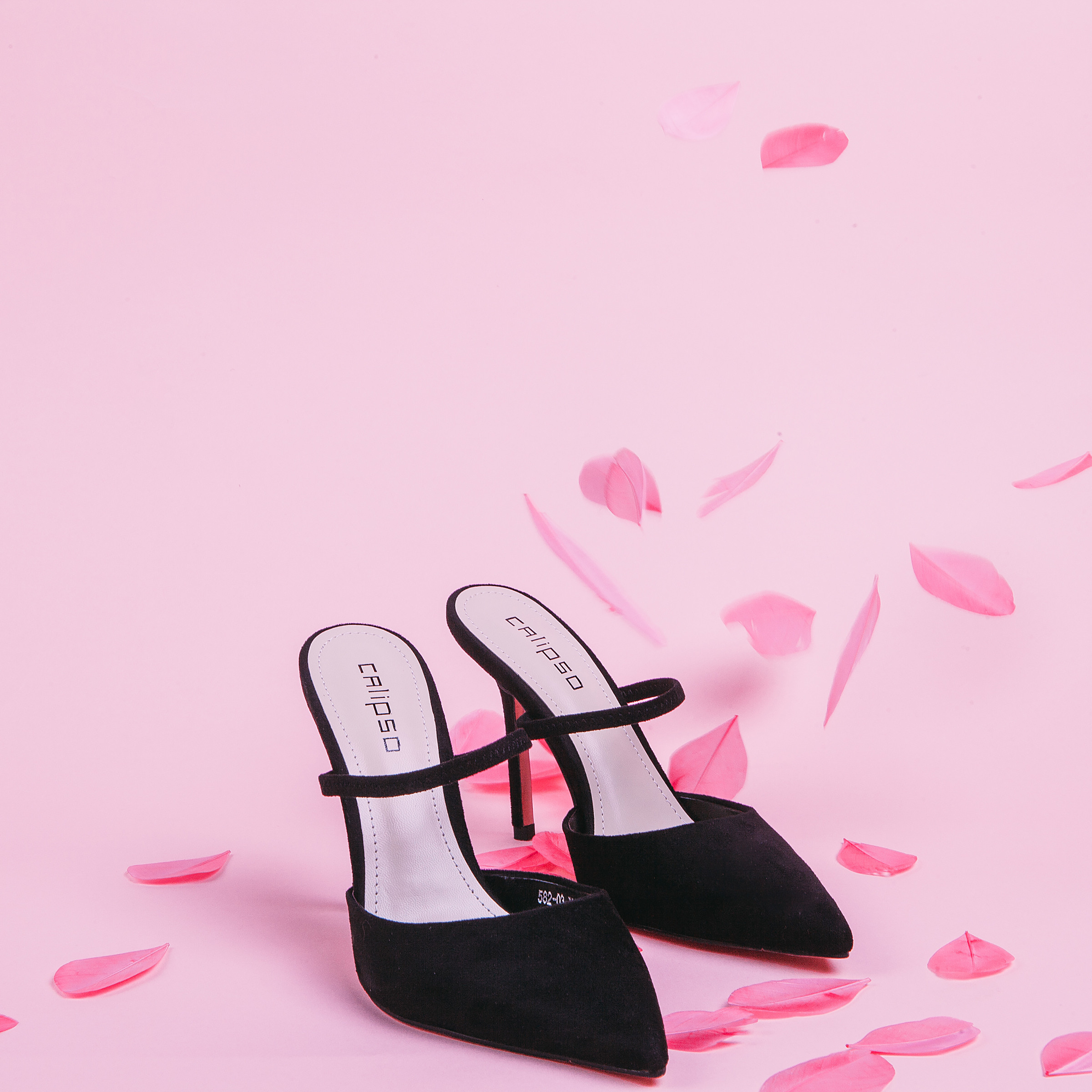 Calipso. Фотограф в Москве Голубева Евгения