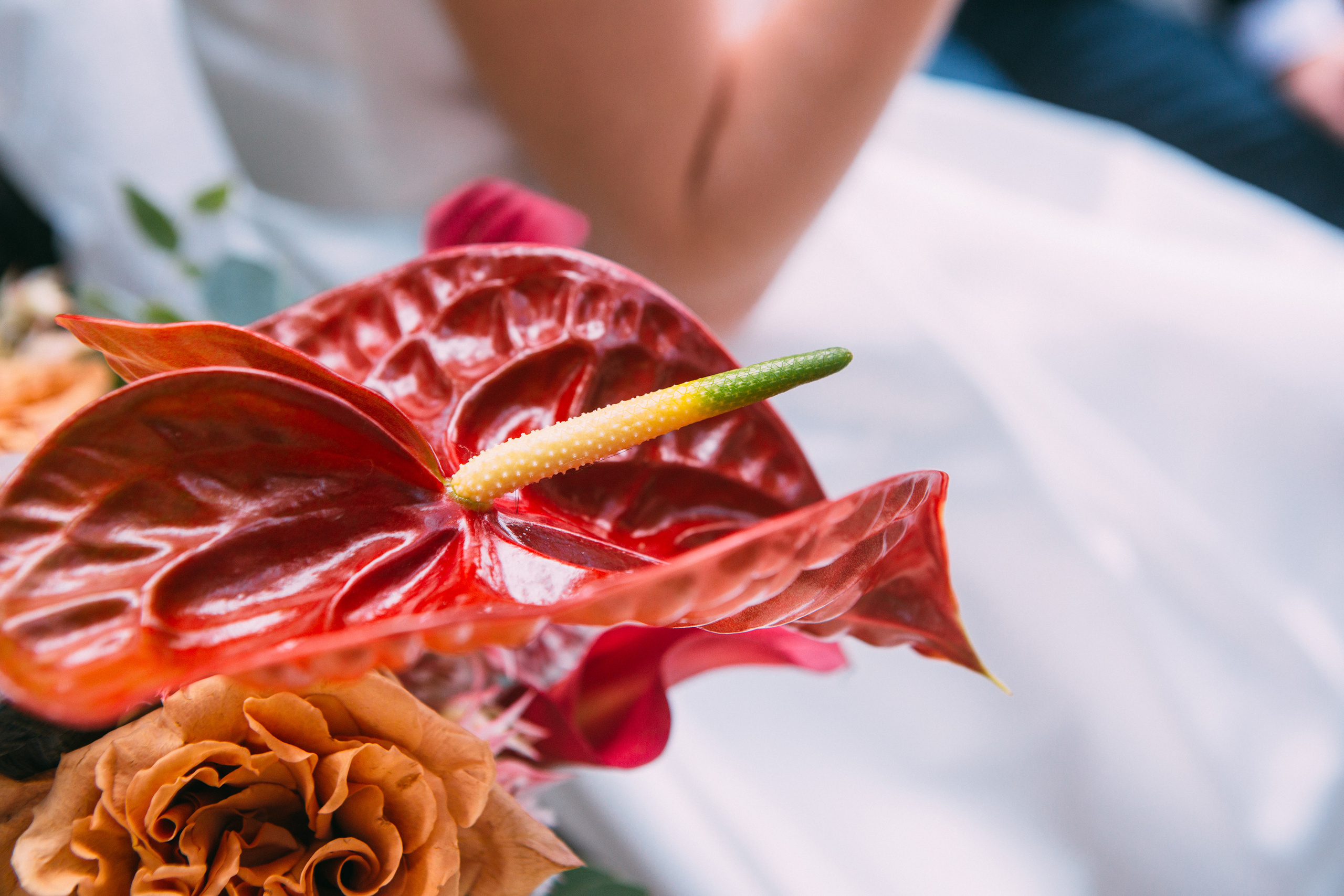 Улыбка друг для друга. Фотограф в Москве Голубева Евгения