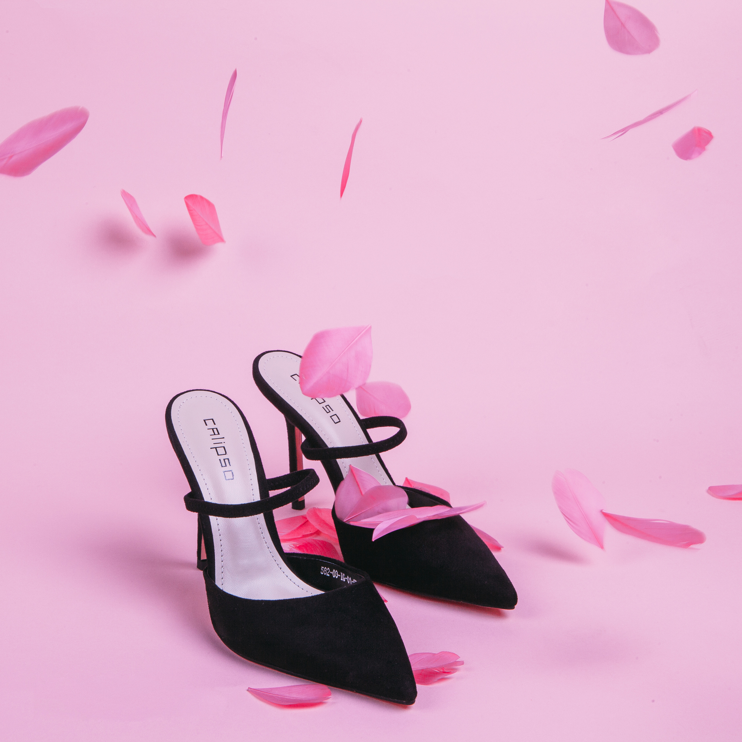 Calipso. Фотограф в Москве Голубева Евгения