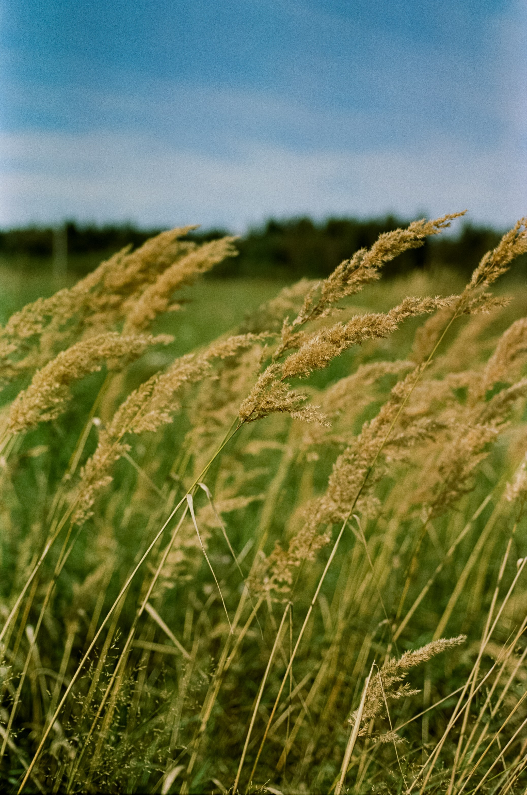 Mamiya 645 PRO обзор и примеры фотографий