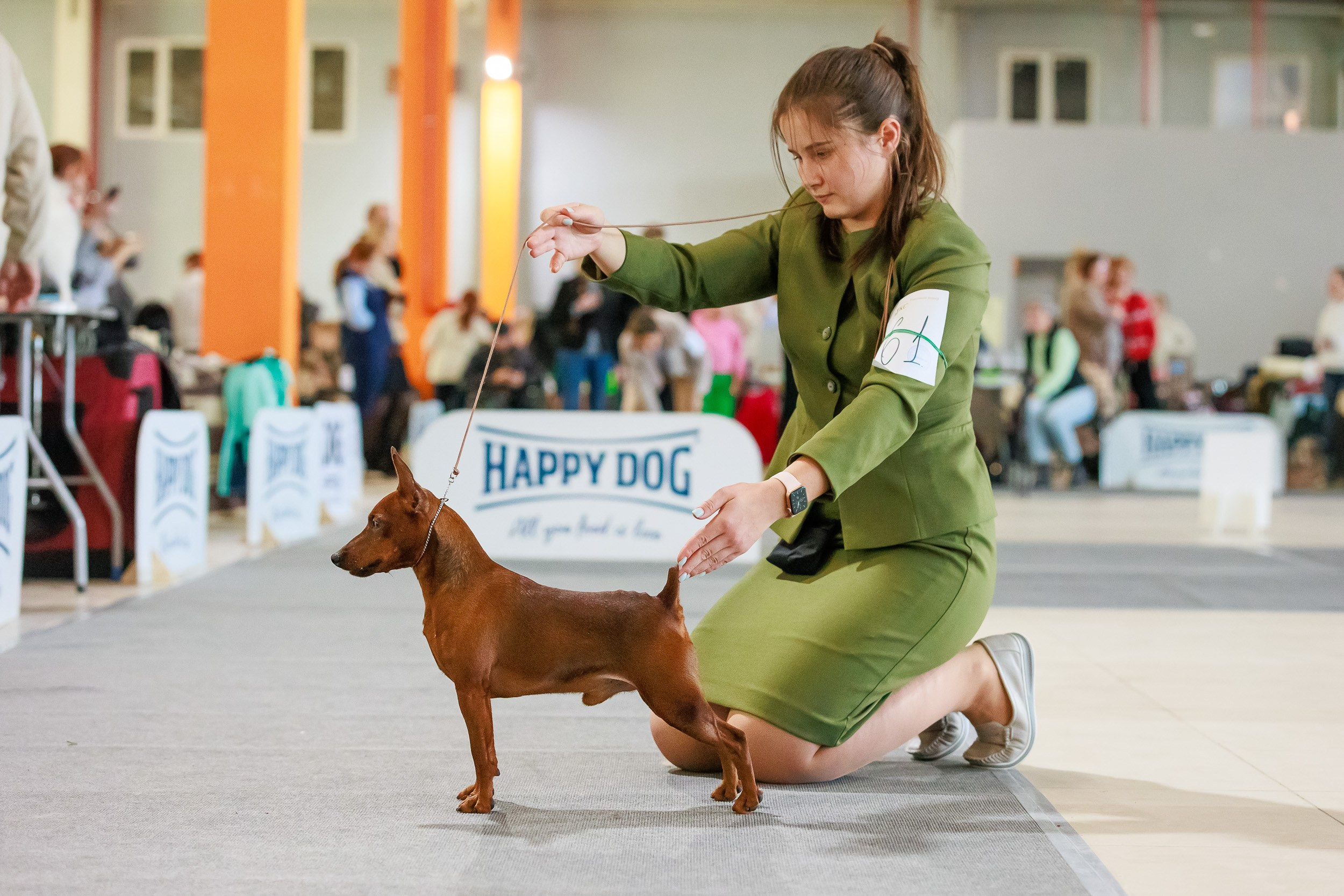Бронницы. Фотограф анималист, семейный фотограф, фотограф собак Комратова Мария. г. Москва