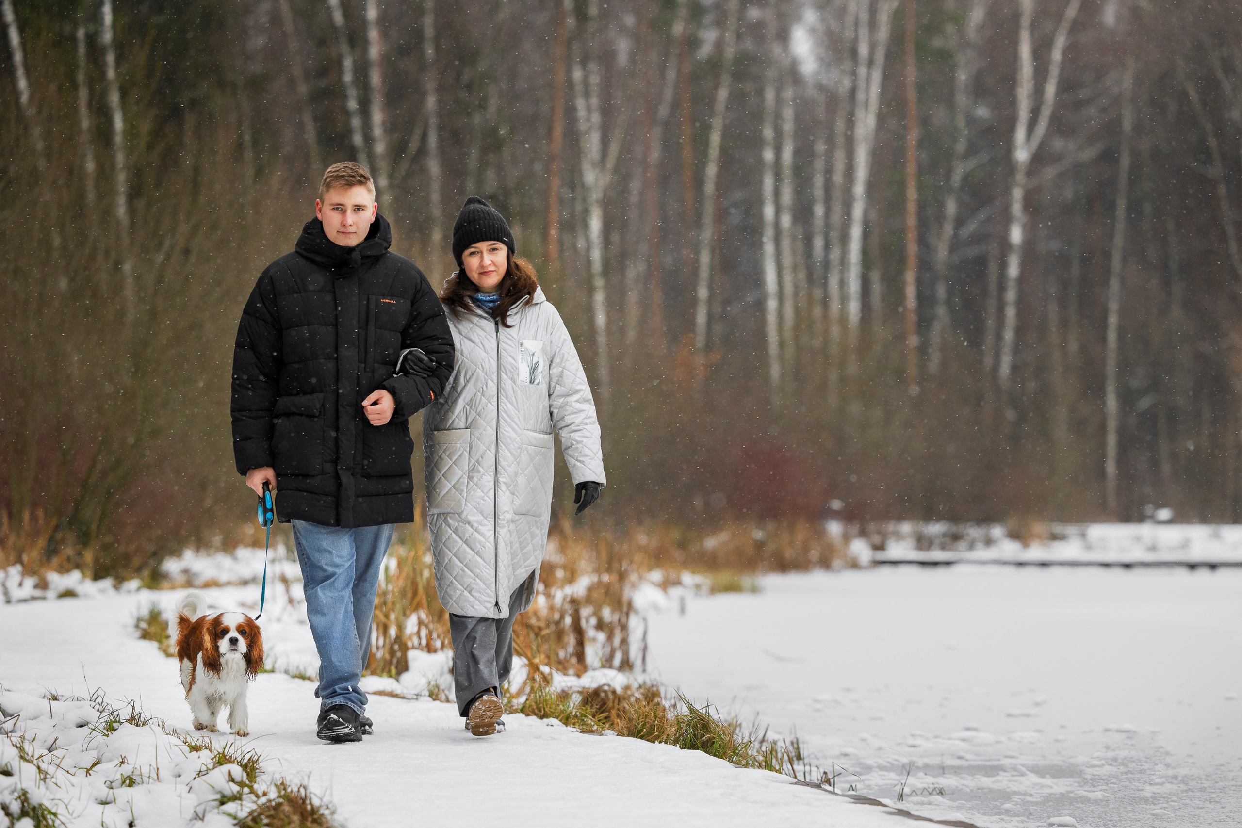 Кавалер Кинг Чарльз Спаниель и Людмила. Фотограф анималист, семейный фотограф, фотограф собак Комратова Мария. г. Москва