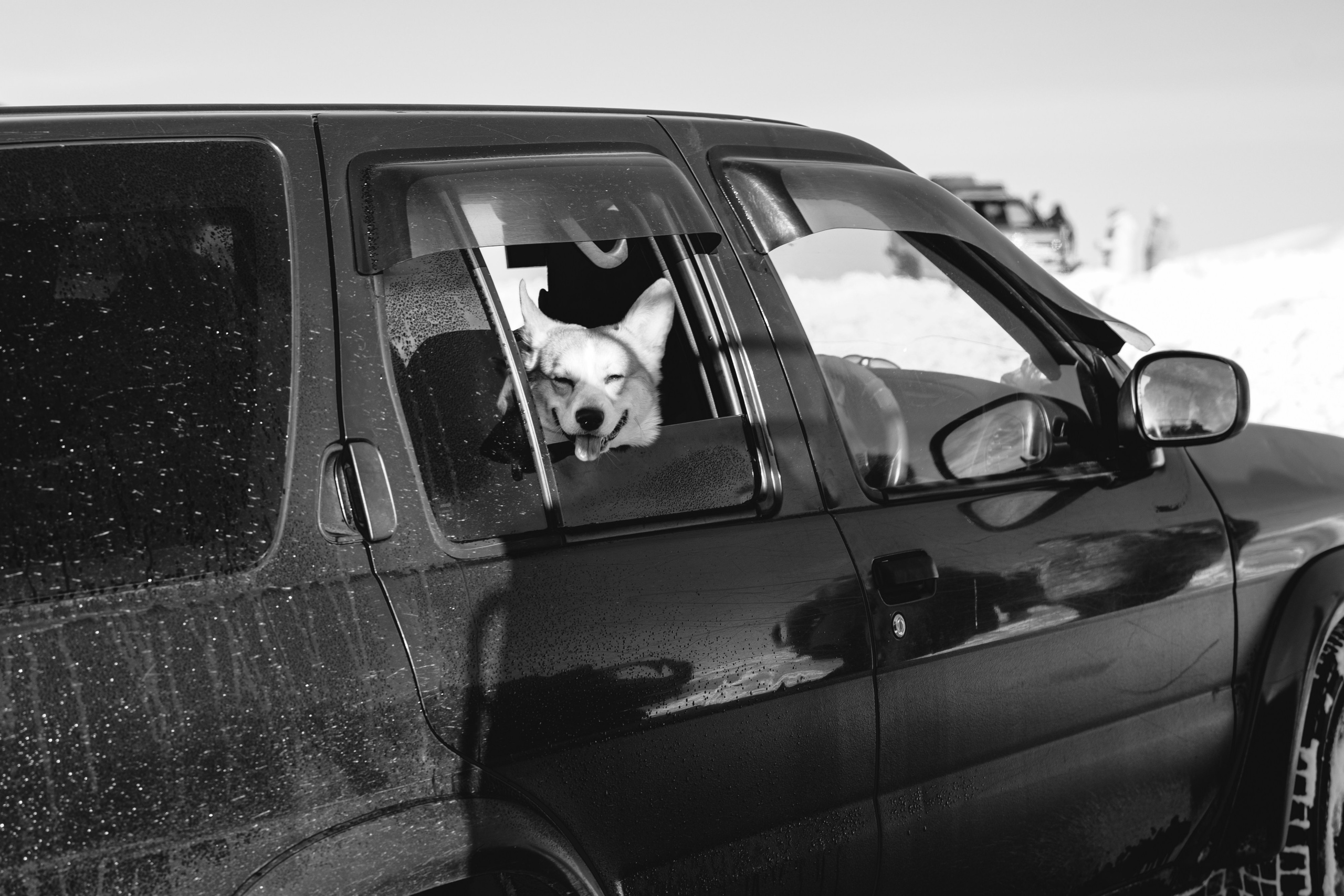 Репортаж зима. Фотограф на Камчатке