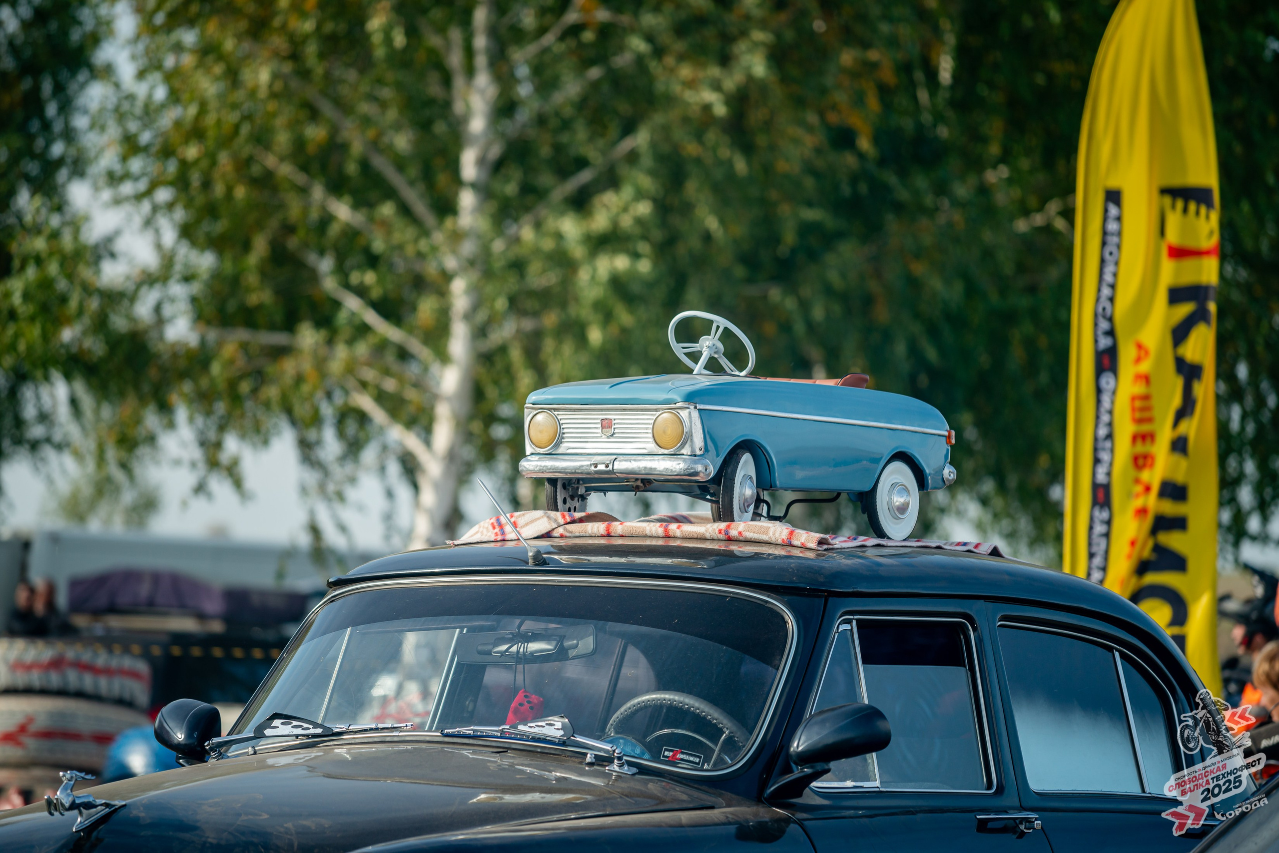 Слободская балка 2025. Фотограф | Макс Борода