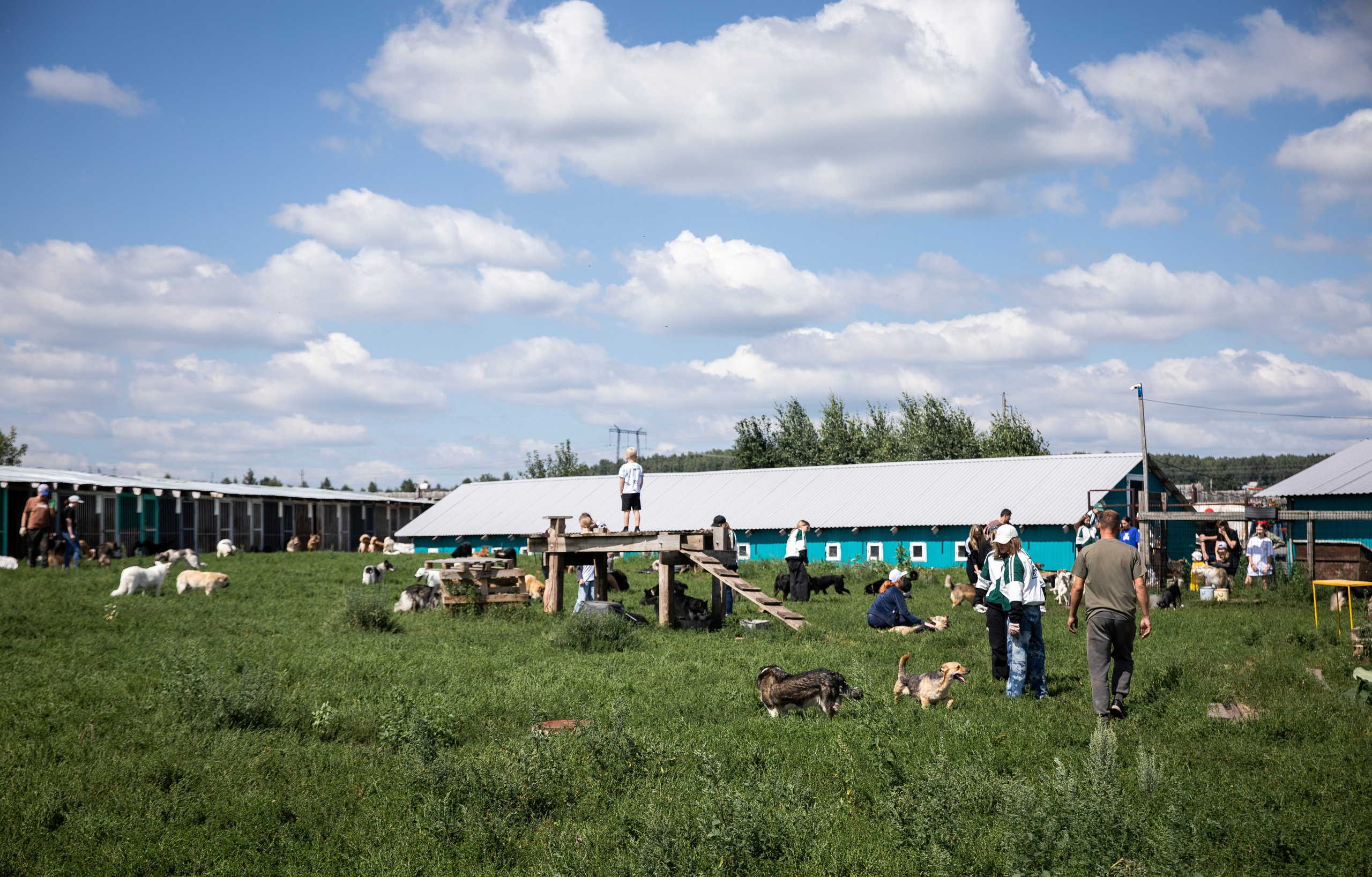Приют — Наш дом. Репортажный и свадебный фотограф в Челябинске Елисеев Павел