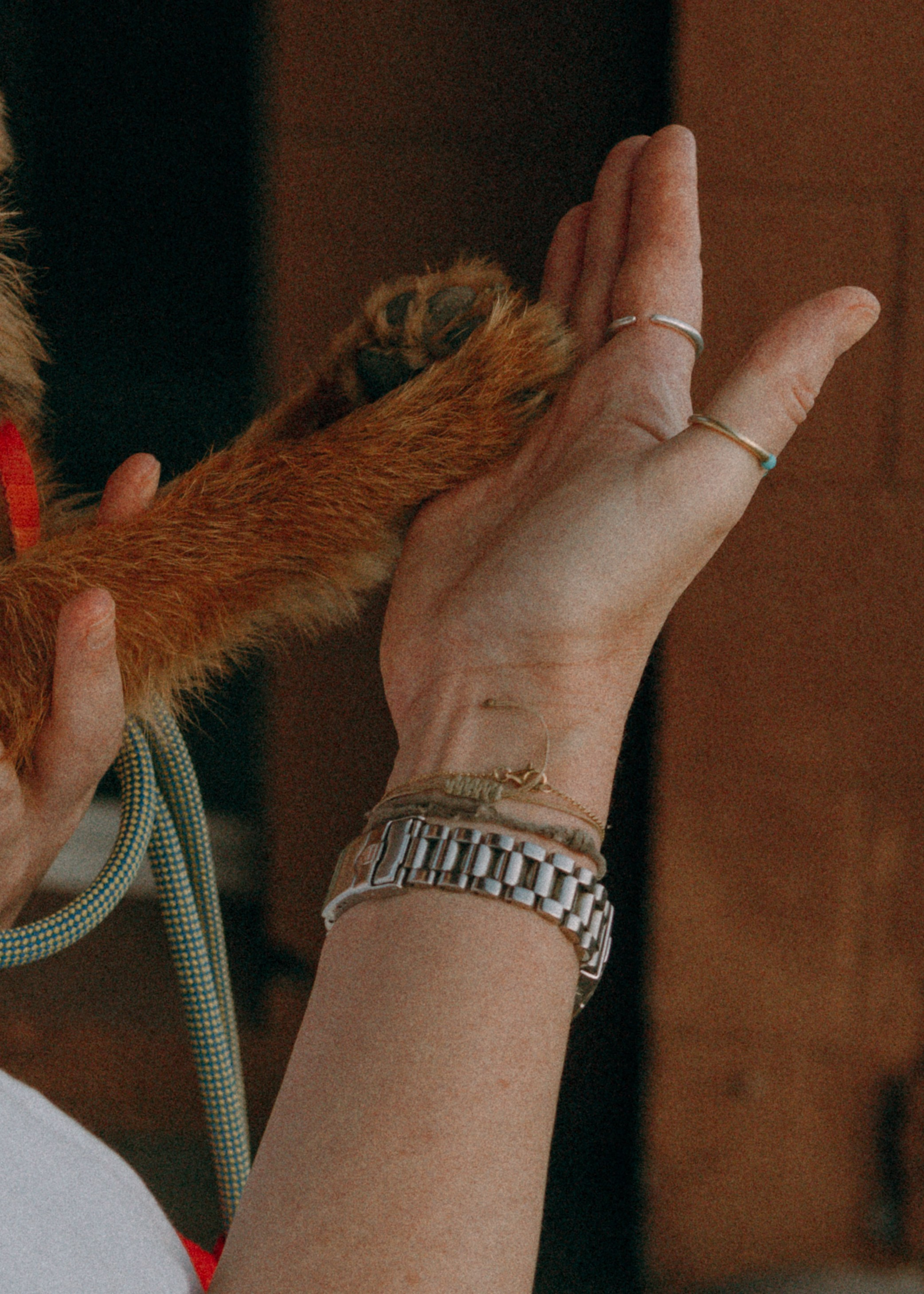 Лена и Альфи. Фотограф-анималист Ксения Воробьева, Москва