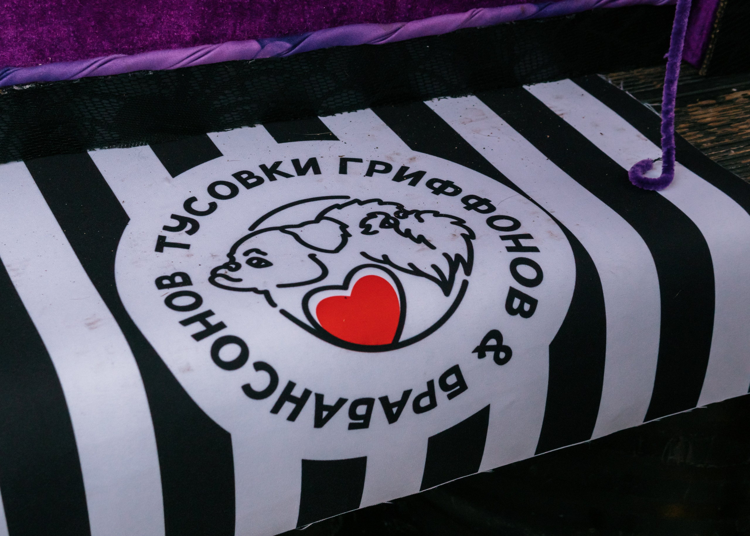 Тематическая встреча породников «Griffween». Фотограф-анималист Ксения Воробьева, Москва