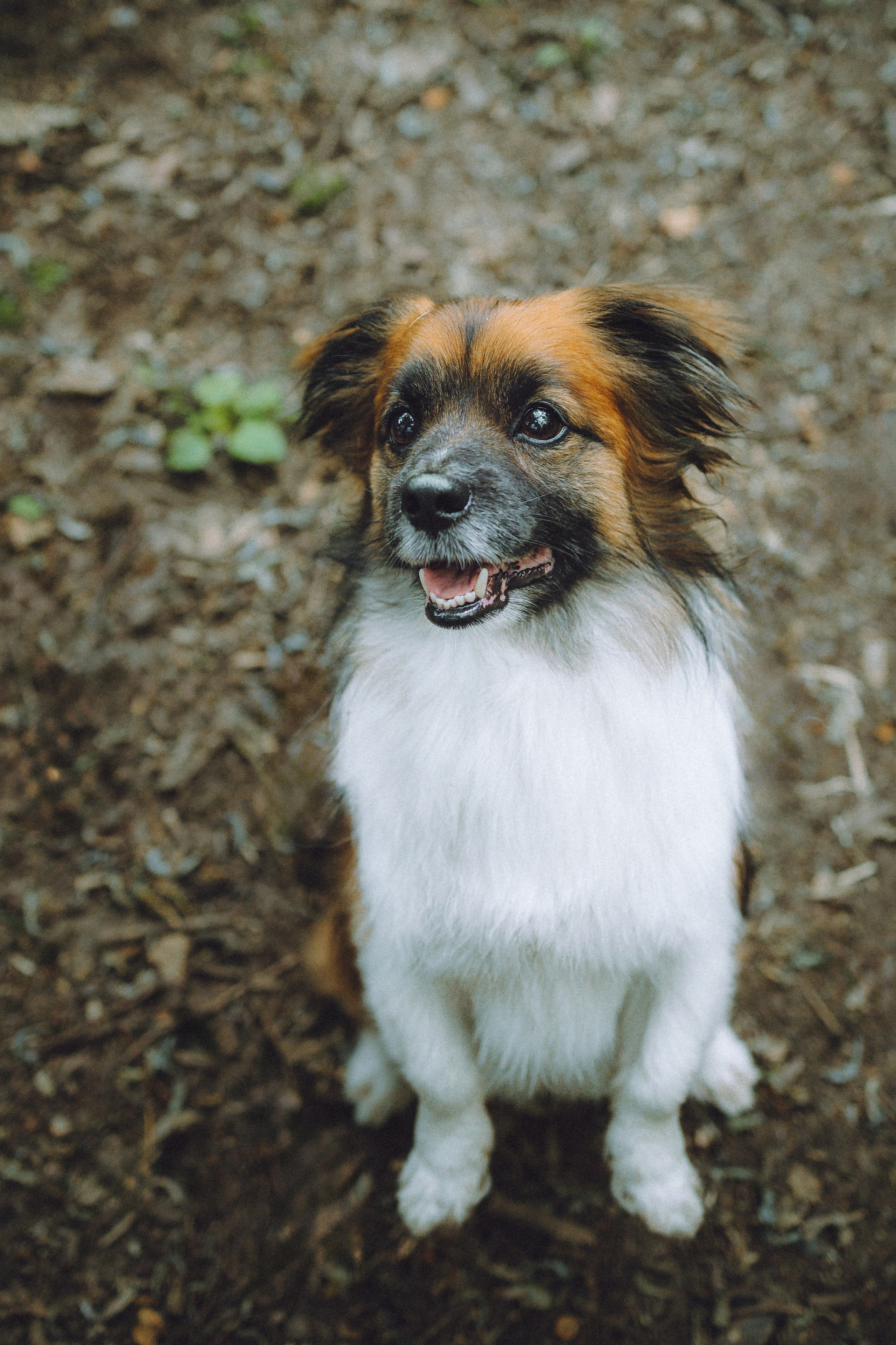 Катя, Андрей, Гектор, Ричи, Тортик и Трой