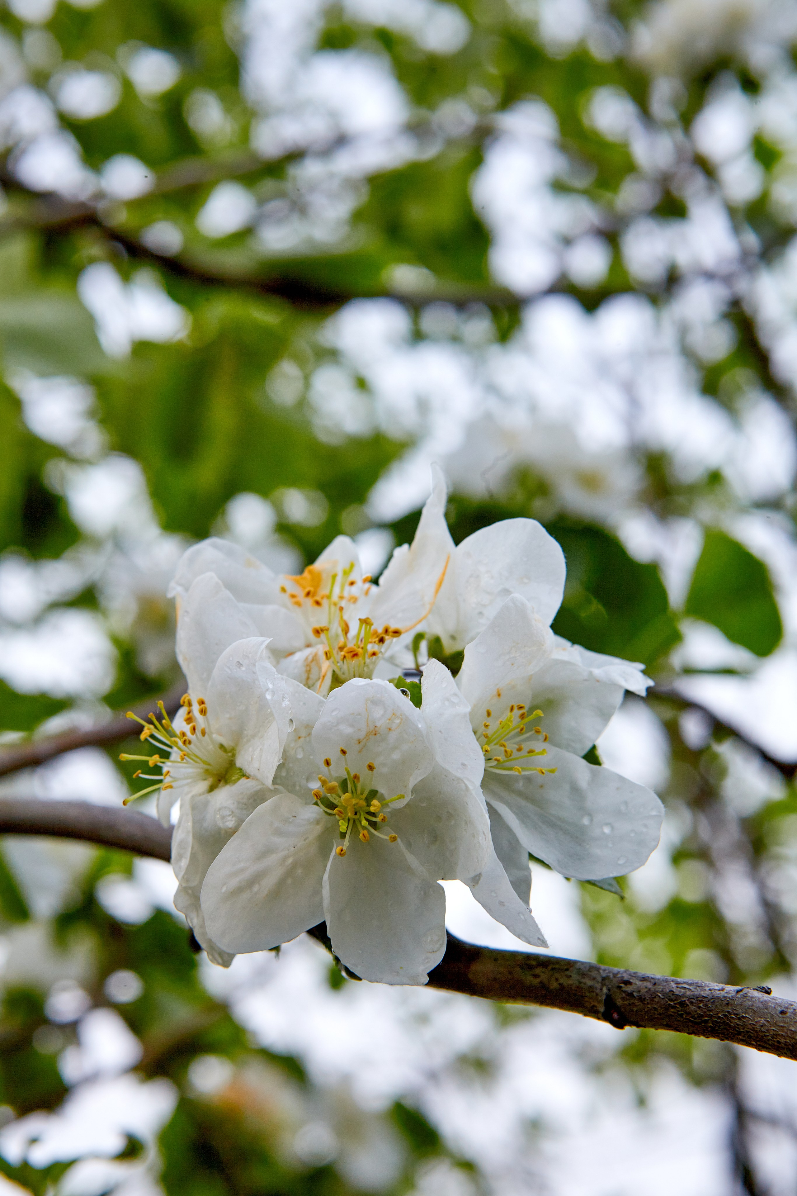 Фотографии природы
