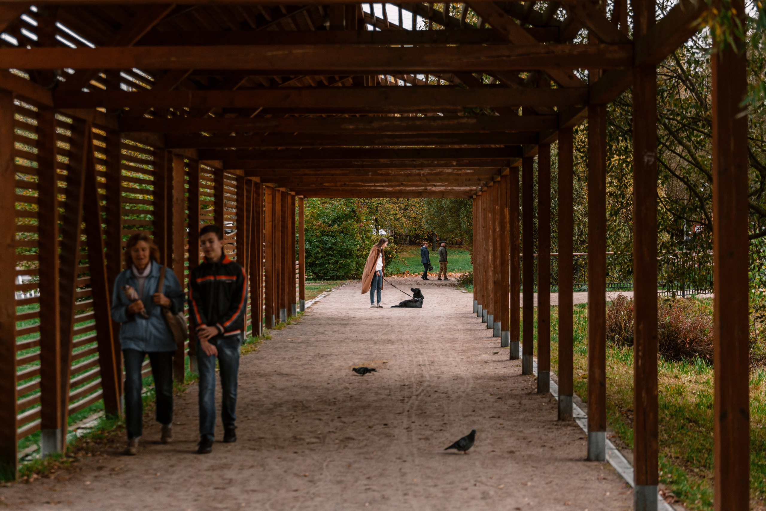 Юля и Фортуна. Фотограф-анималист Татьяна Степанова