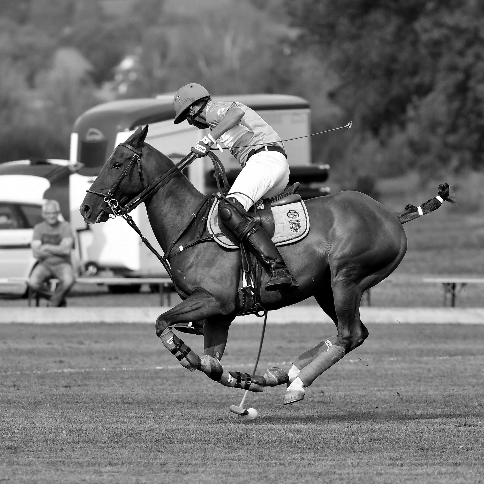 Polo art photos. Art photos of horses — ARTUR BABOEV | Photographer