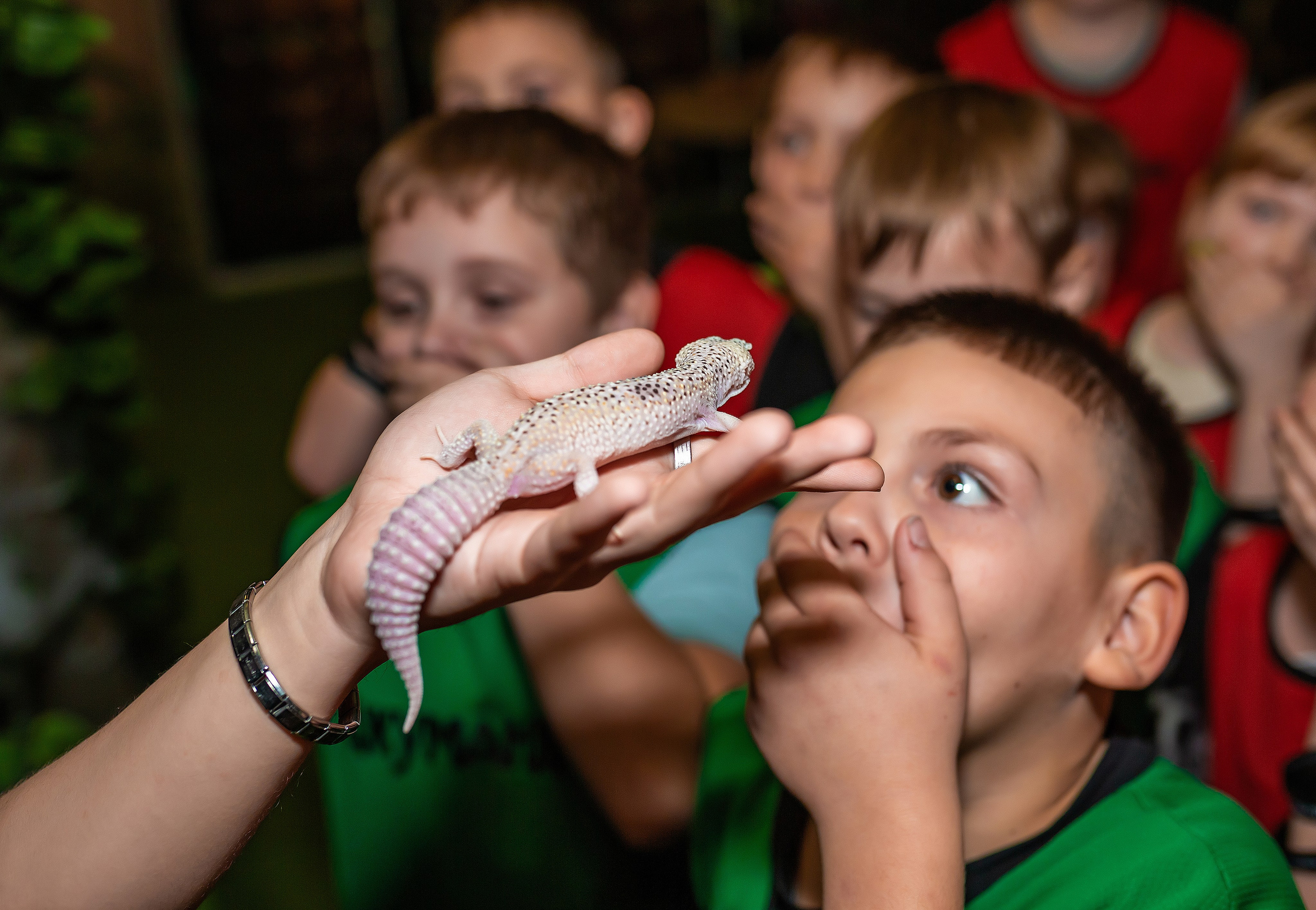 Детские дни рождения. Репортажный и свадебный фотограф в Новосибирске Марина Красавина