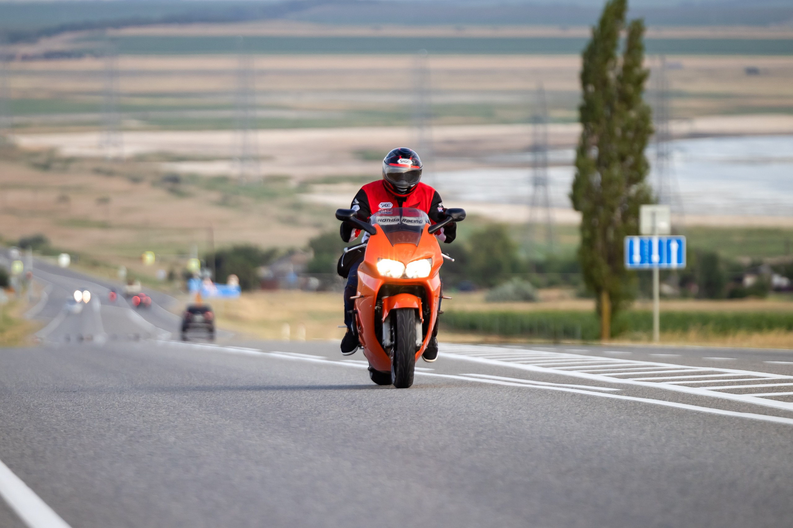 Южное мини-сафари в Тамани. Июль 2024. Фотограф Владимир Охрименко