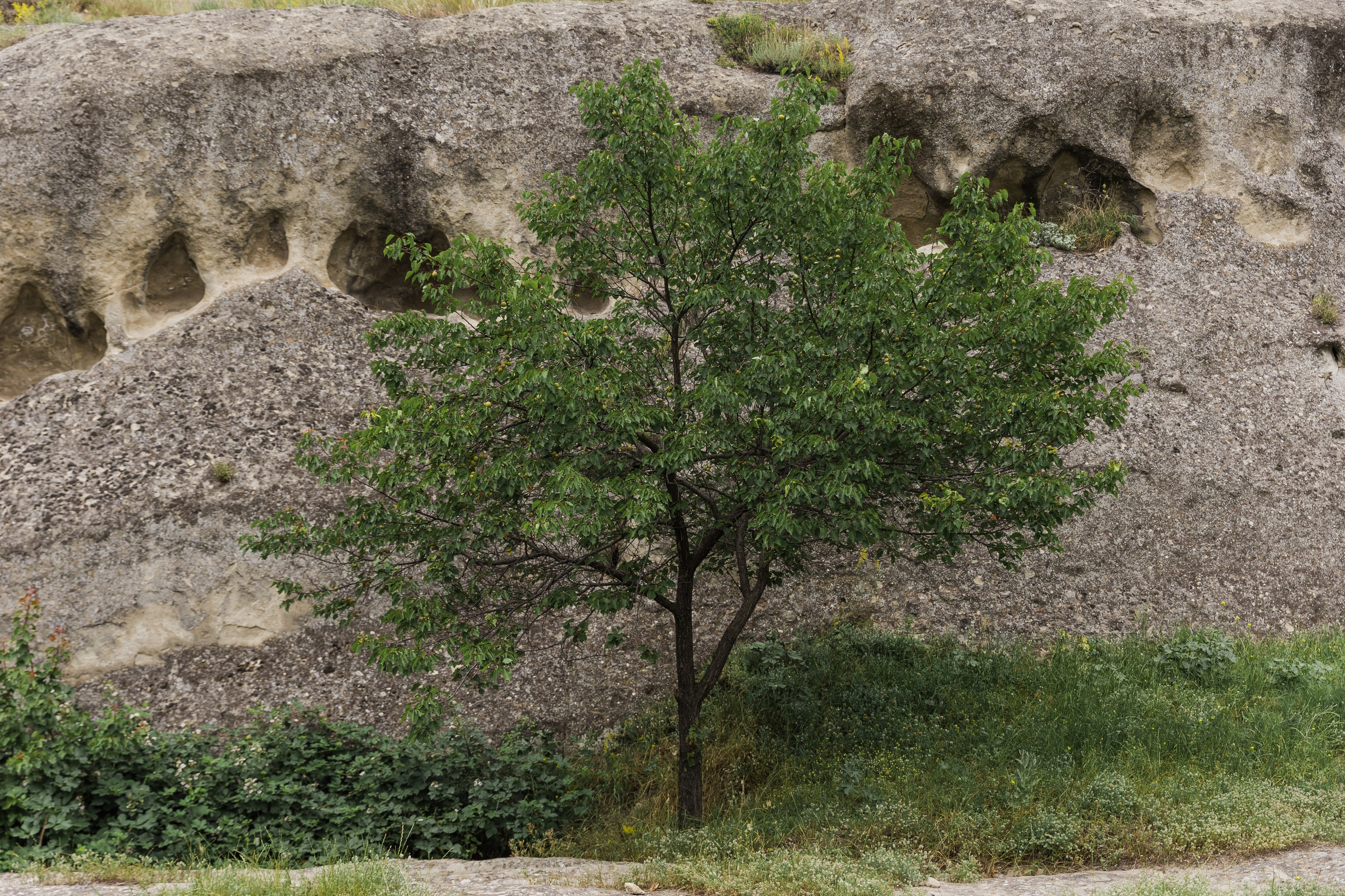 Georgia. Свадебный и семейный фотограф в Краснодаре Роман Моско